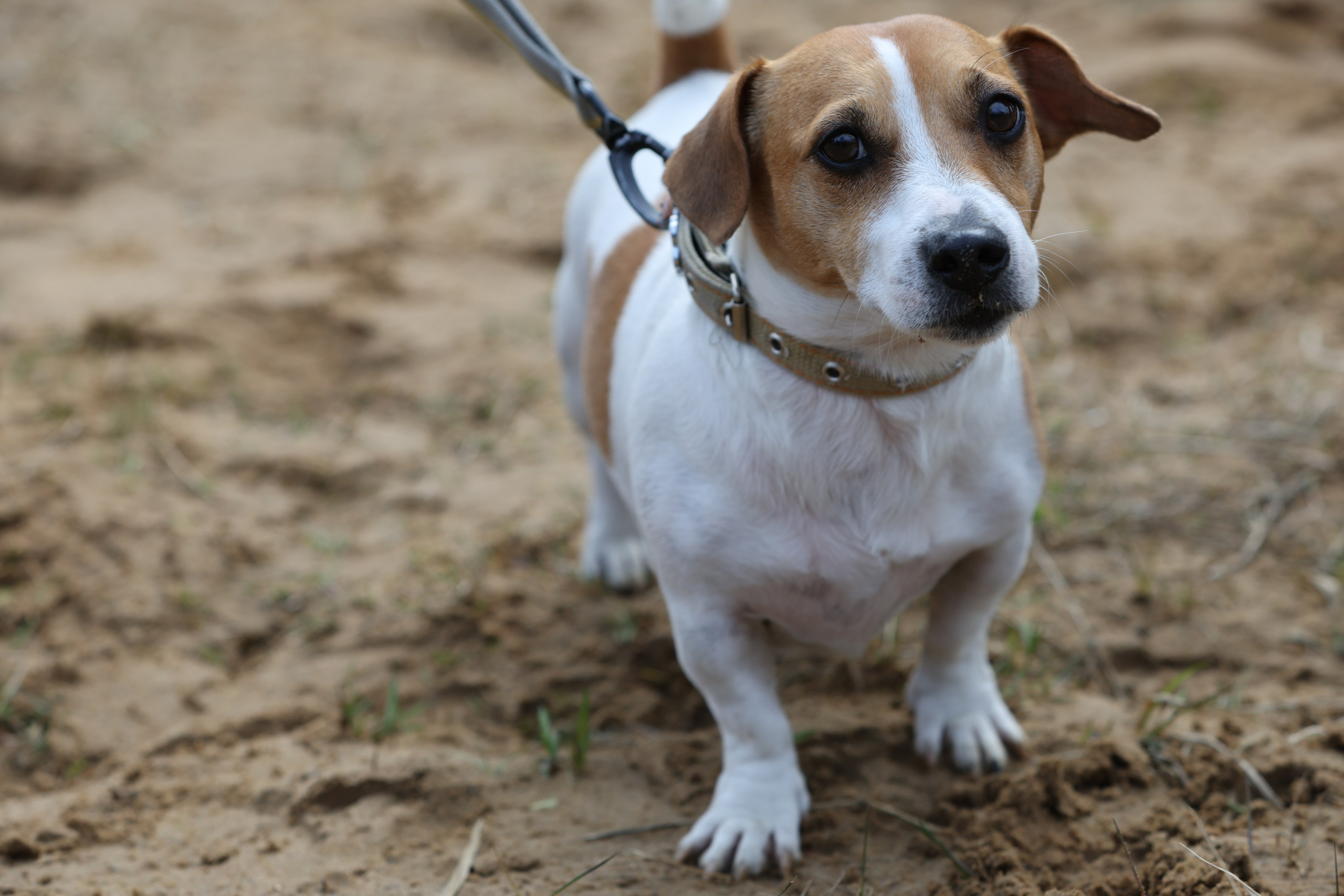 Трейл Химкинский лес, 12.04.26. Фотограф Сергей Ловкий