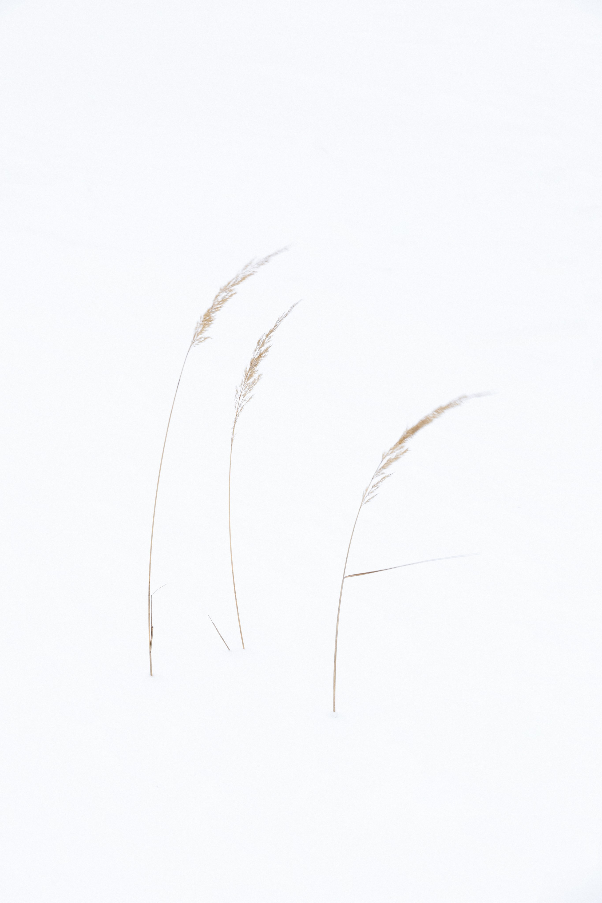 Фотограф Ольга Дунаева