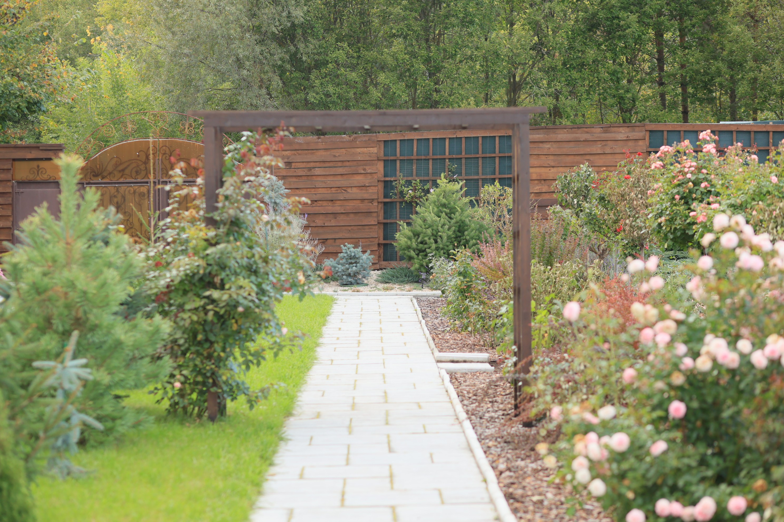 Парк-заповедник Купидон. Семейный фотограф в Димитровграде Елена Патрушева
