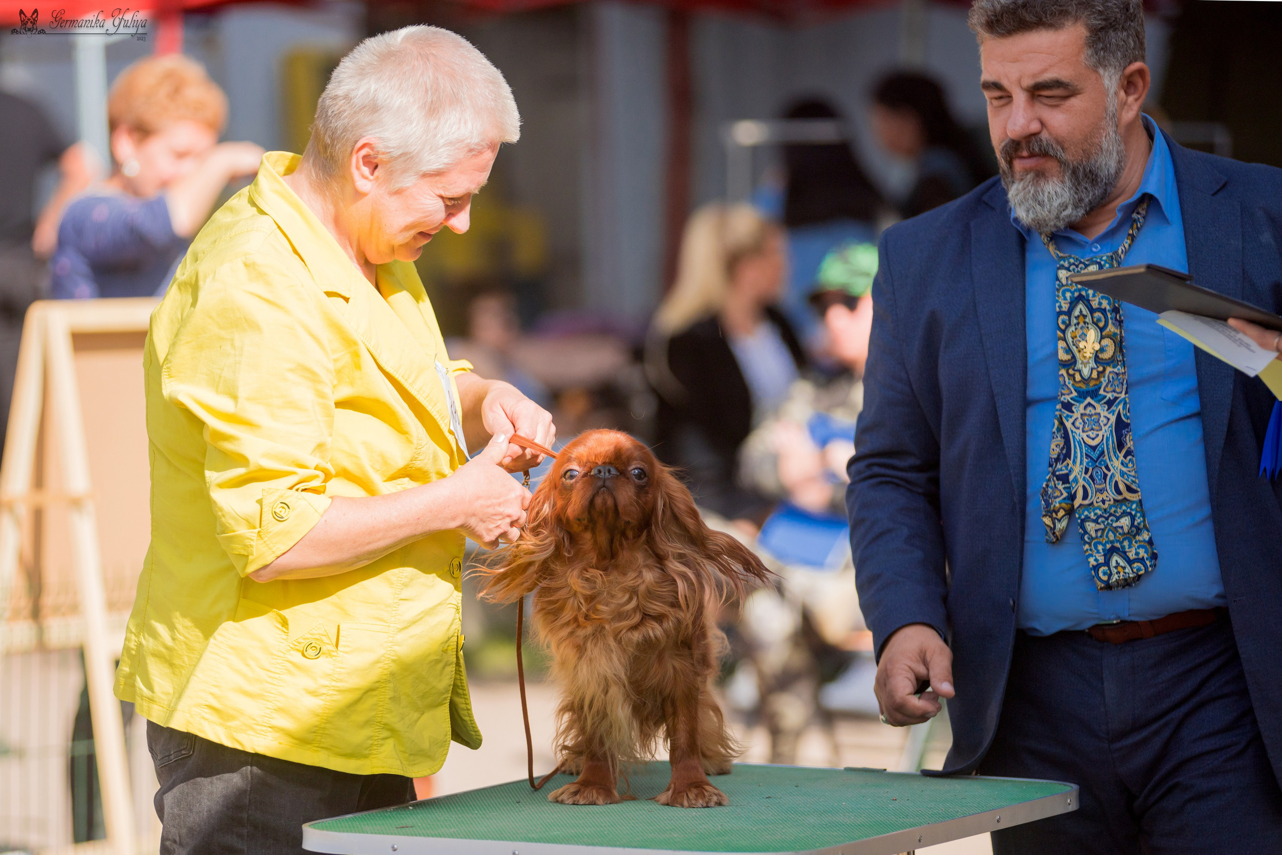 Бишкек 29.09-01.10.2023. Фотограф-анималист Юлия Германика
