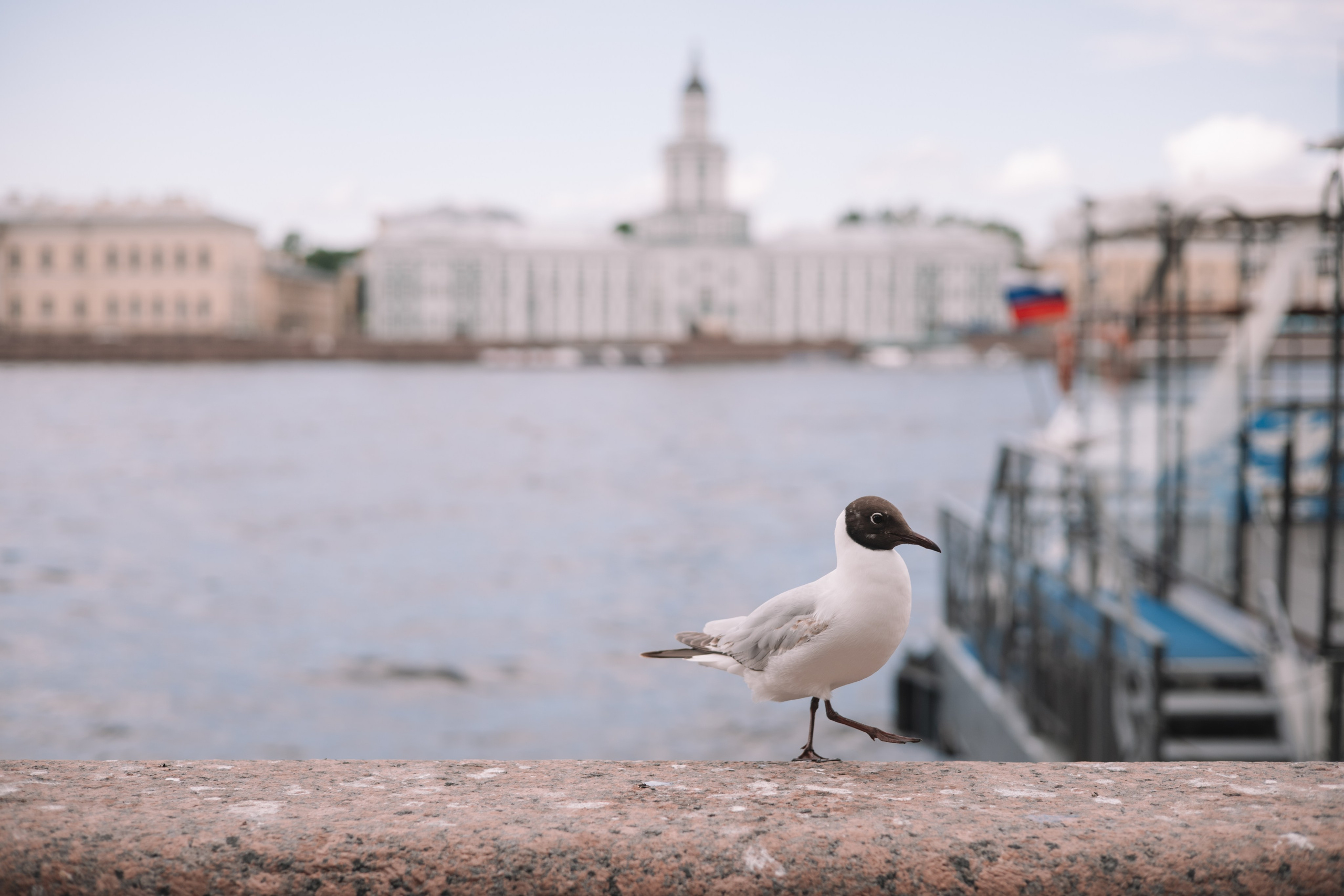 Love Story. Семейный фотограф в Санкт-Петербурге. Запечатление мгновений и ярких воспоминаний в Вашей жизни