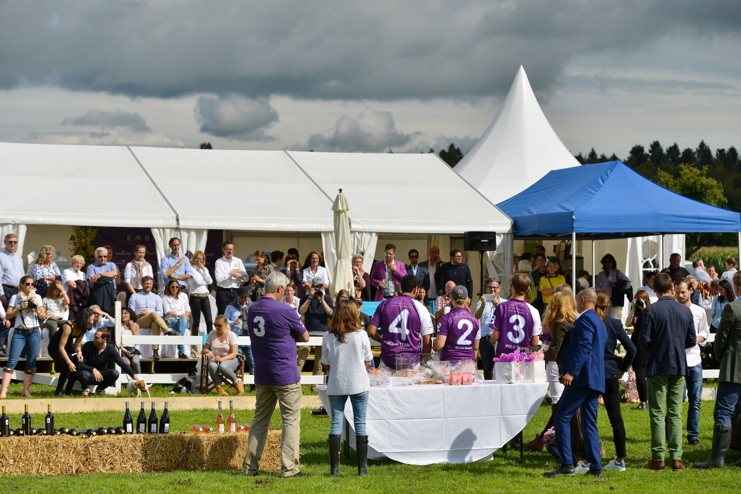 Polo art photos. Art photos of horses — ARTUR BABOEV | Photographer