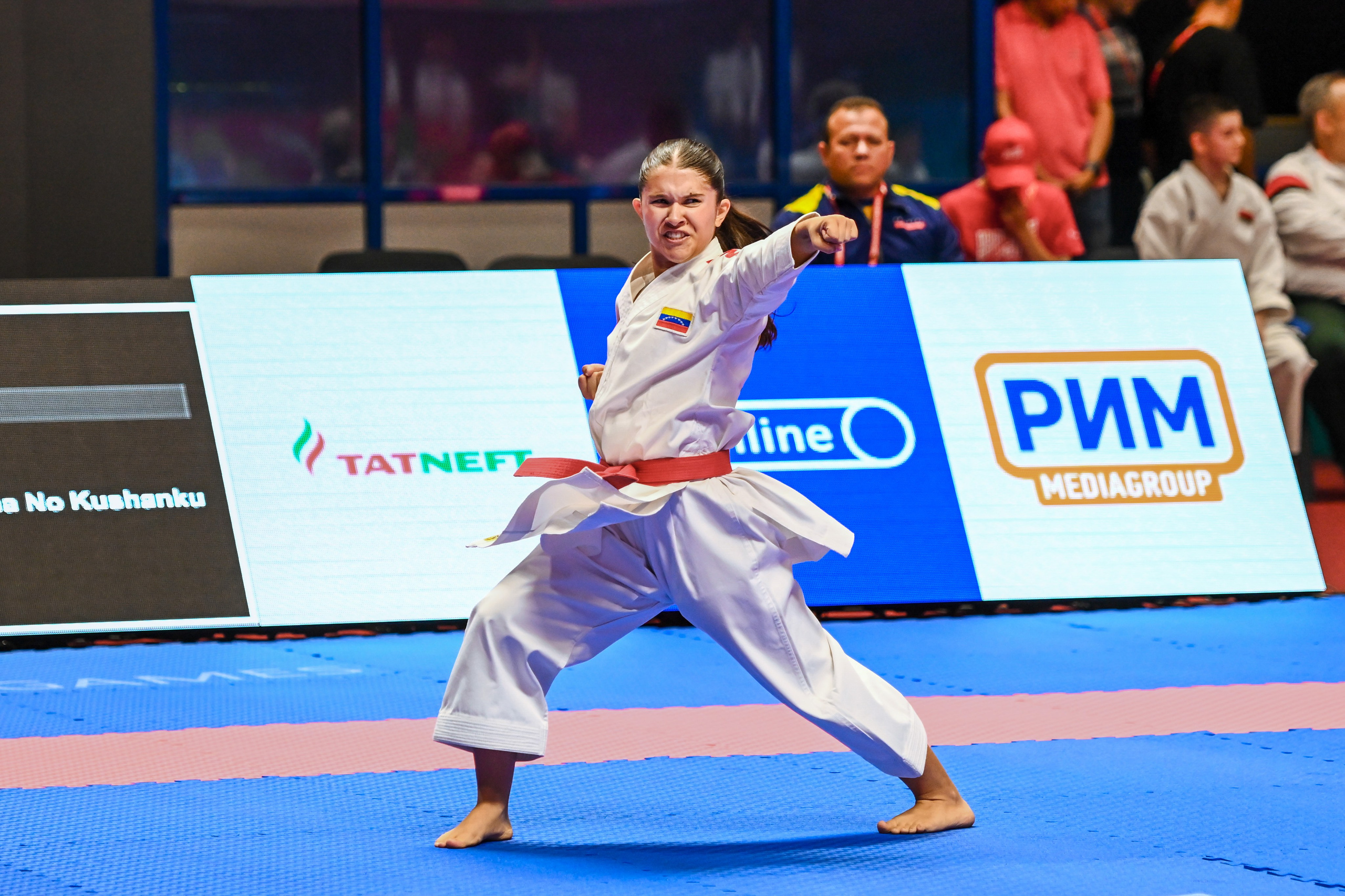 Каратэ «Спортивные игры стран БРИКС». Спортивный и репортажный фотограф в Казани Вячеслав Сатонин