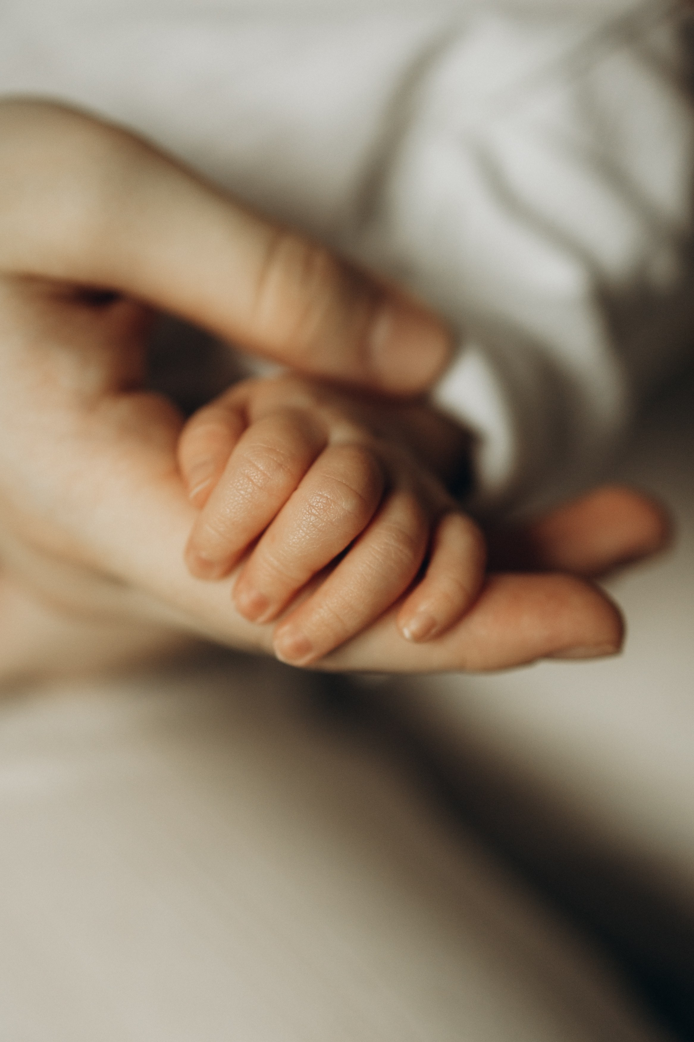 фотосессия новорожденного, фотосессия новорожденных, ньюборн, пушкин, павловск, спб, семейная фотосессия