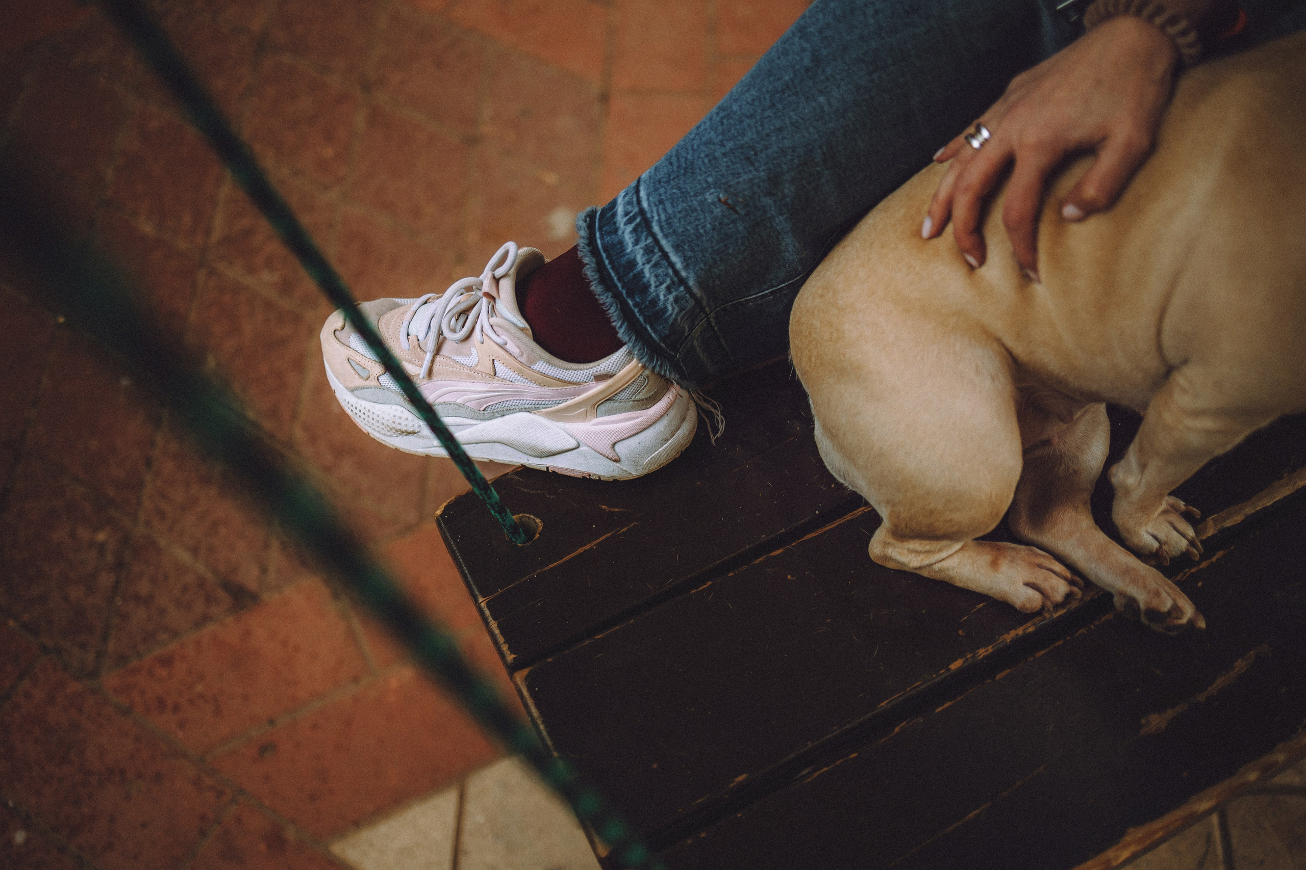 Антонина и Амиша