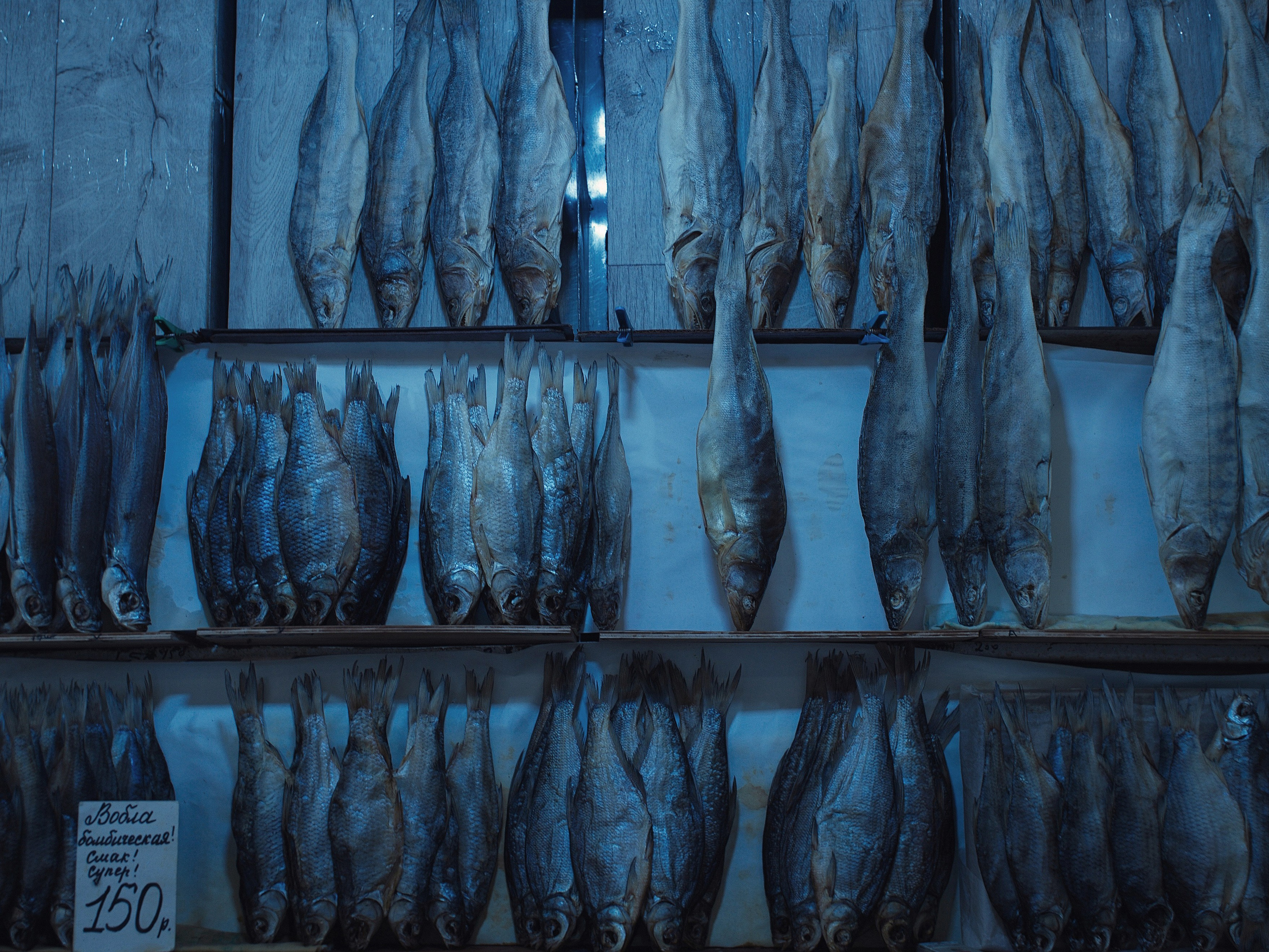 "Dry gold" of Astrakhan: dried roaches, tarann and walleye