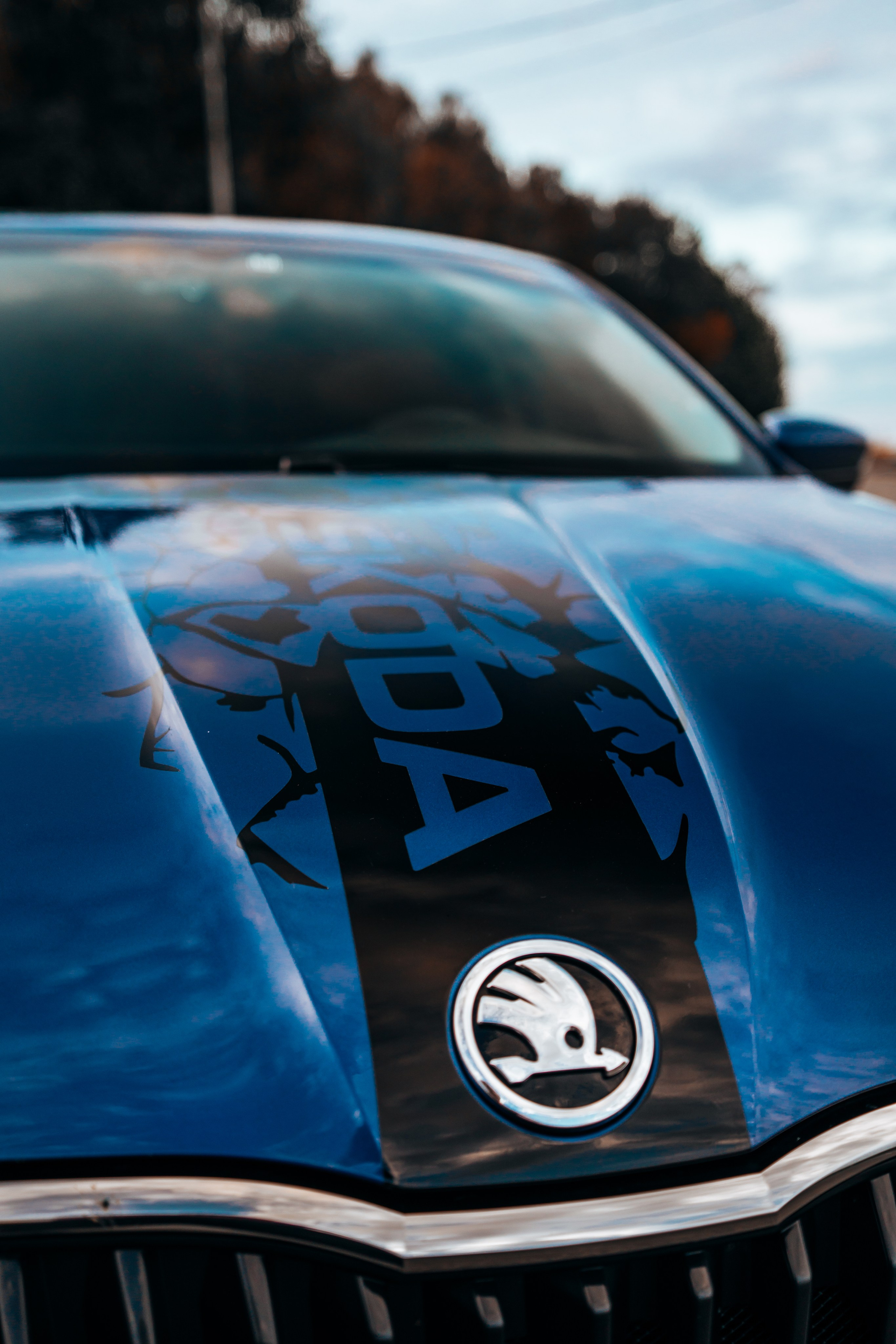 Skoda Rapid v2.0. Vlad Trykov