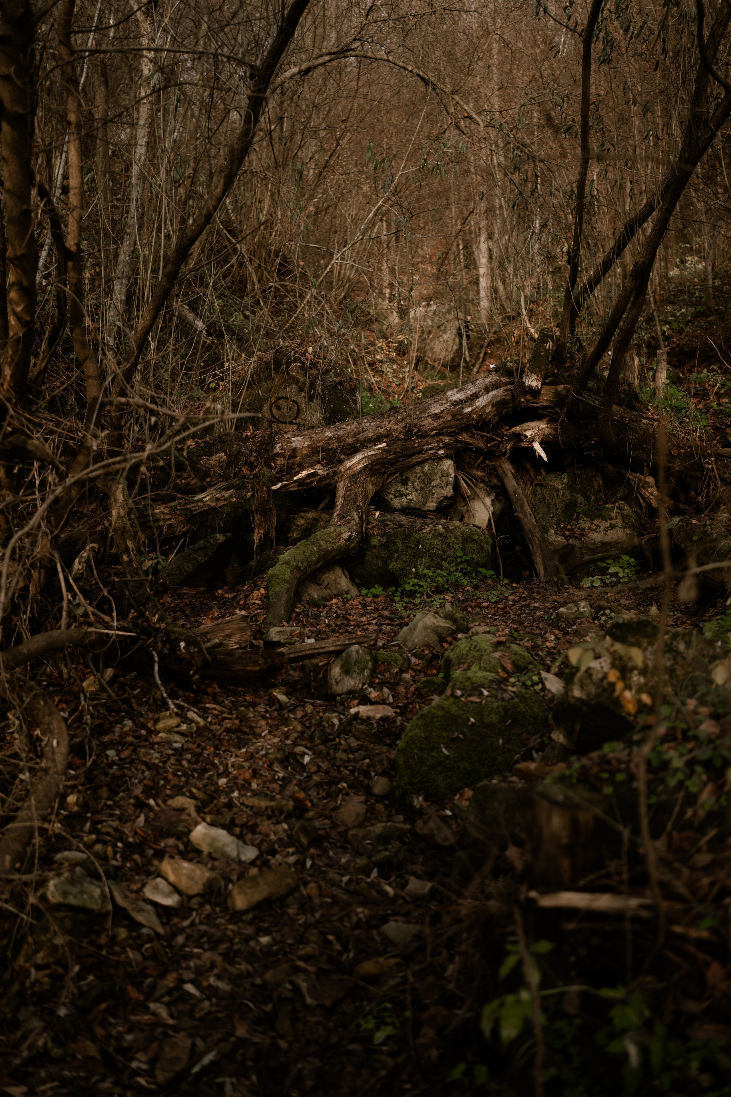 Кольцовские пещеры. Vlad Trykov