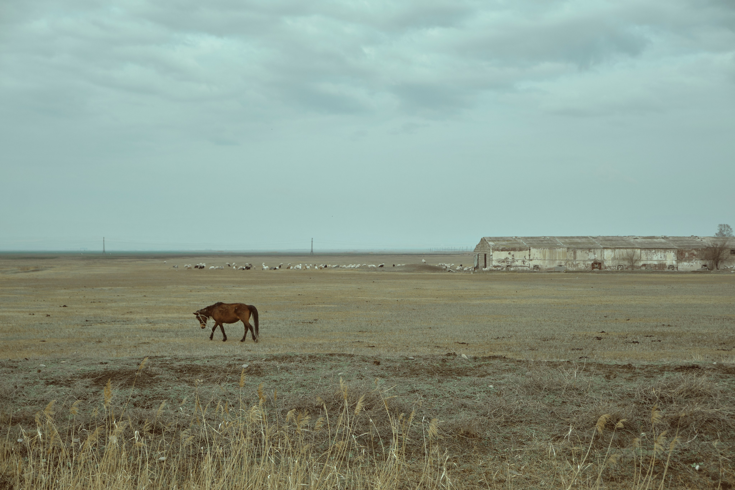 Грузия. Фотограф Настя Лев