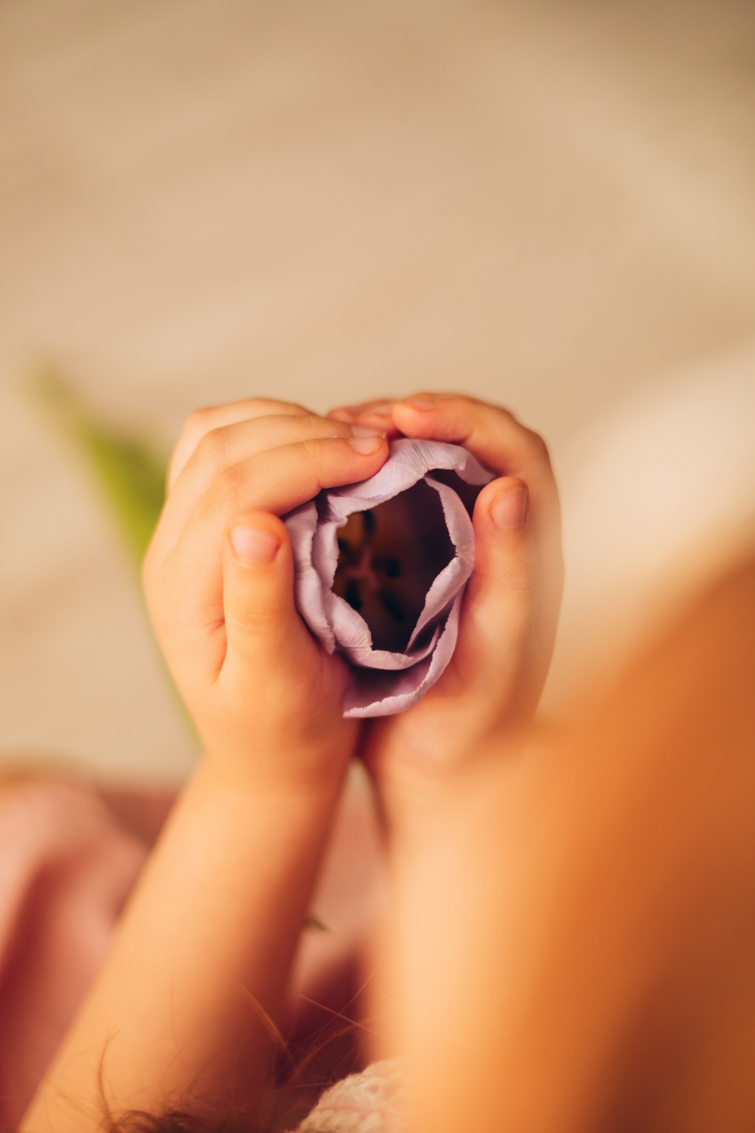 СТУДИЙНЫЕ. Детский и семейный фотограф  Биробиджан Оля Светагор