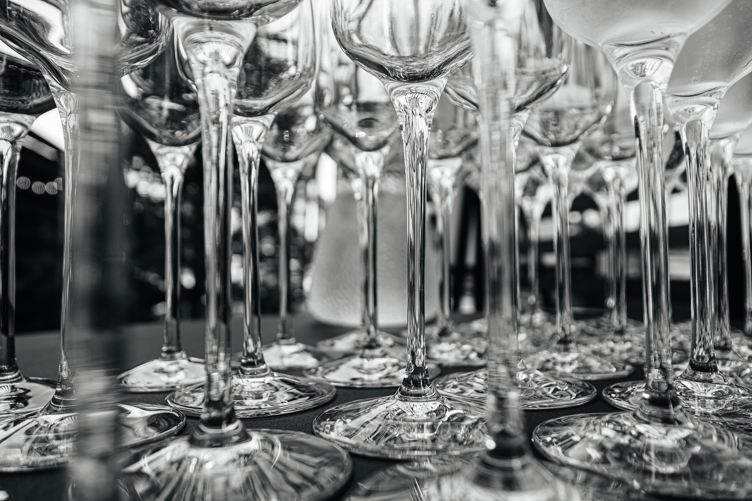 Степа_Вика. Свадебный и семейный фотограф Барнаул Рубцовск Бийск Алтайский край