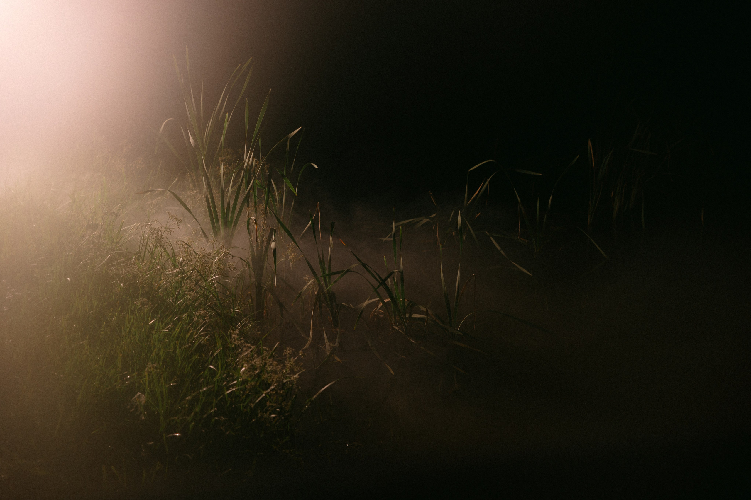 Лучшее время — сейчас. Свадебный фотограф Кемерово Томск Новосибирск