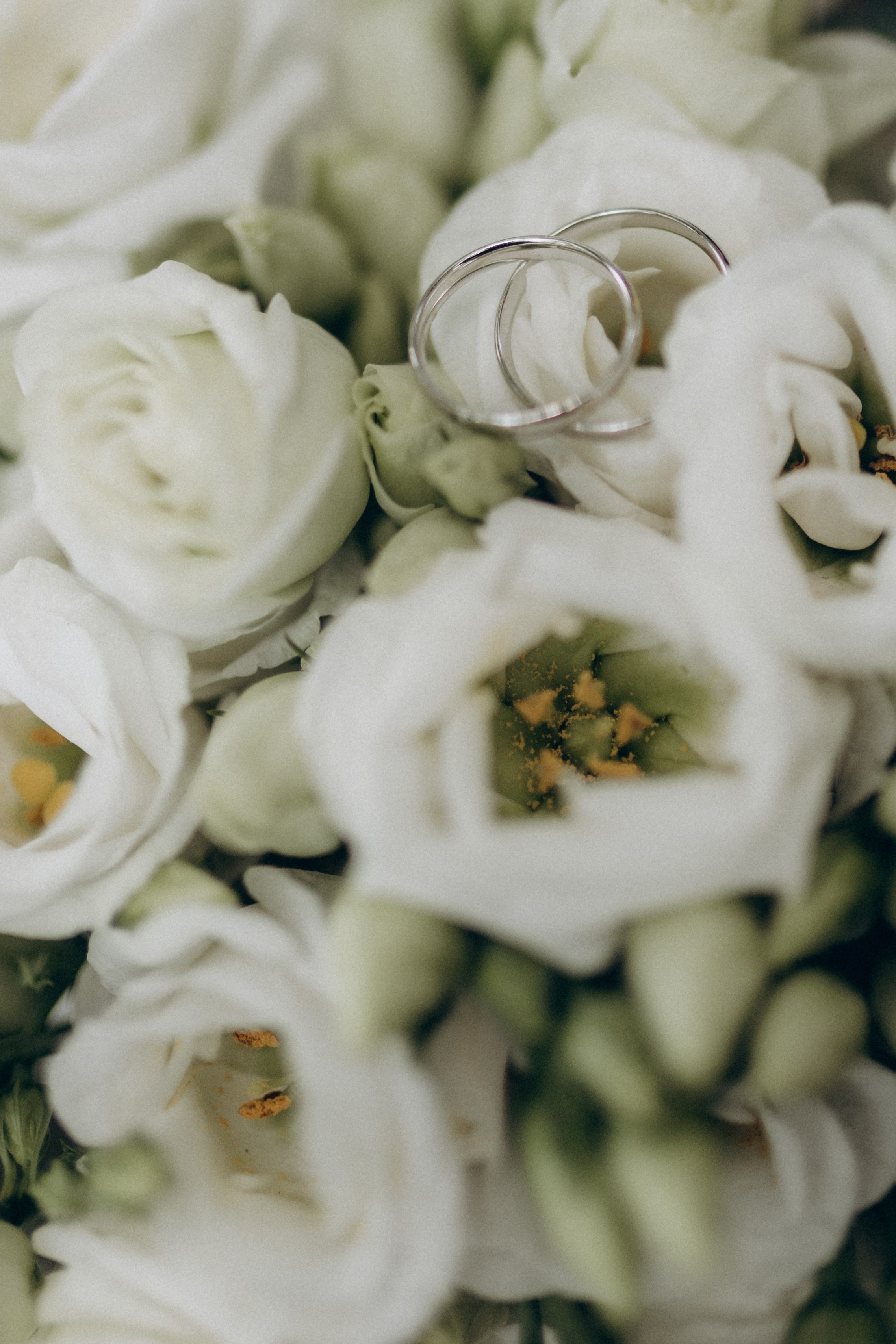 Юлия & Андрей. Фотограф НОГИНСК, Москва, Анастасия Белая