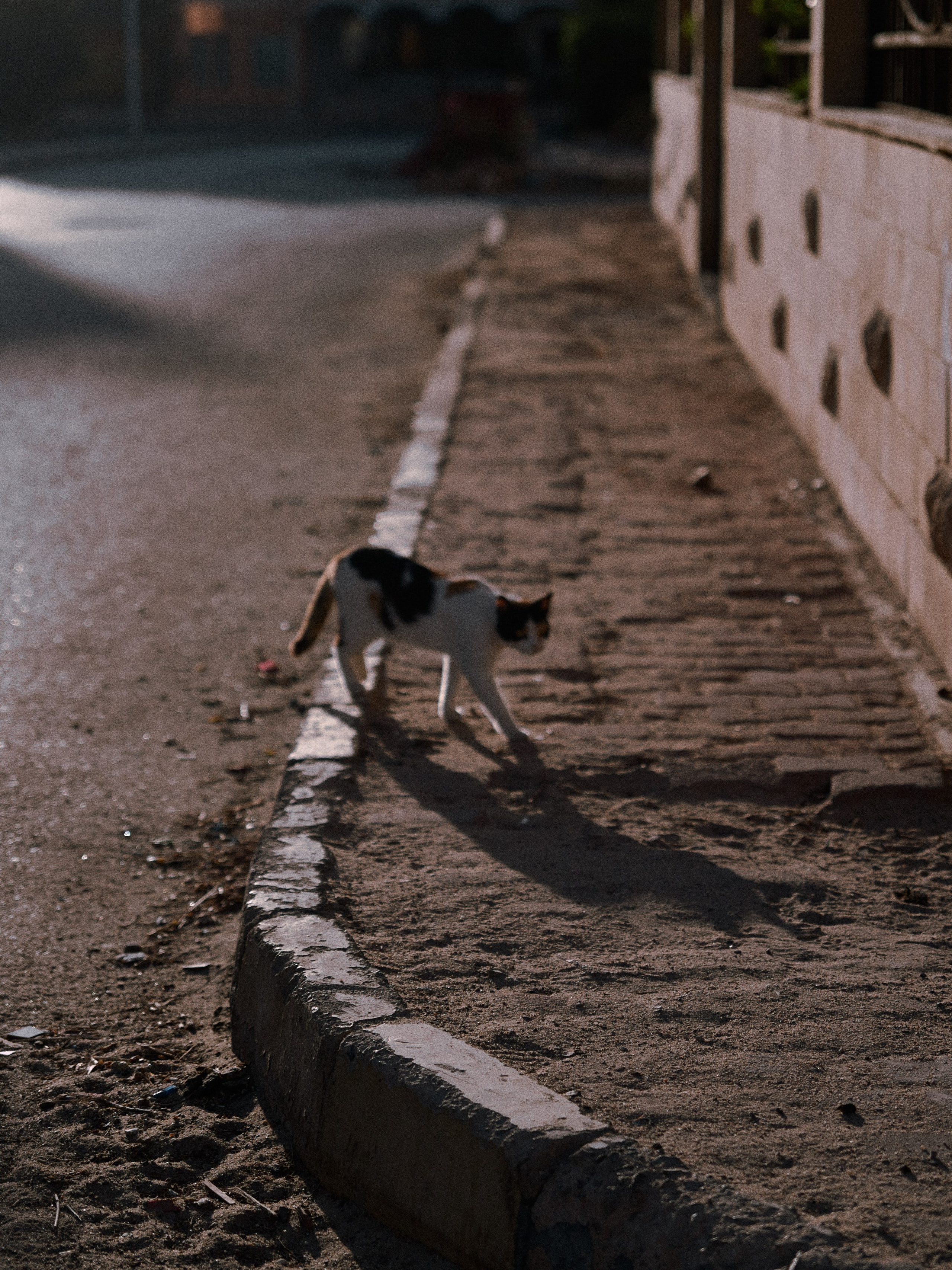 Диптих. Jorgis — фотограф в Хургаде / обучение фотографии