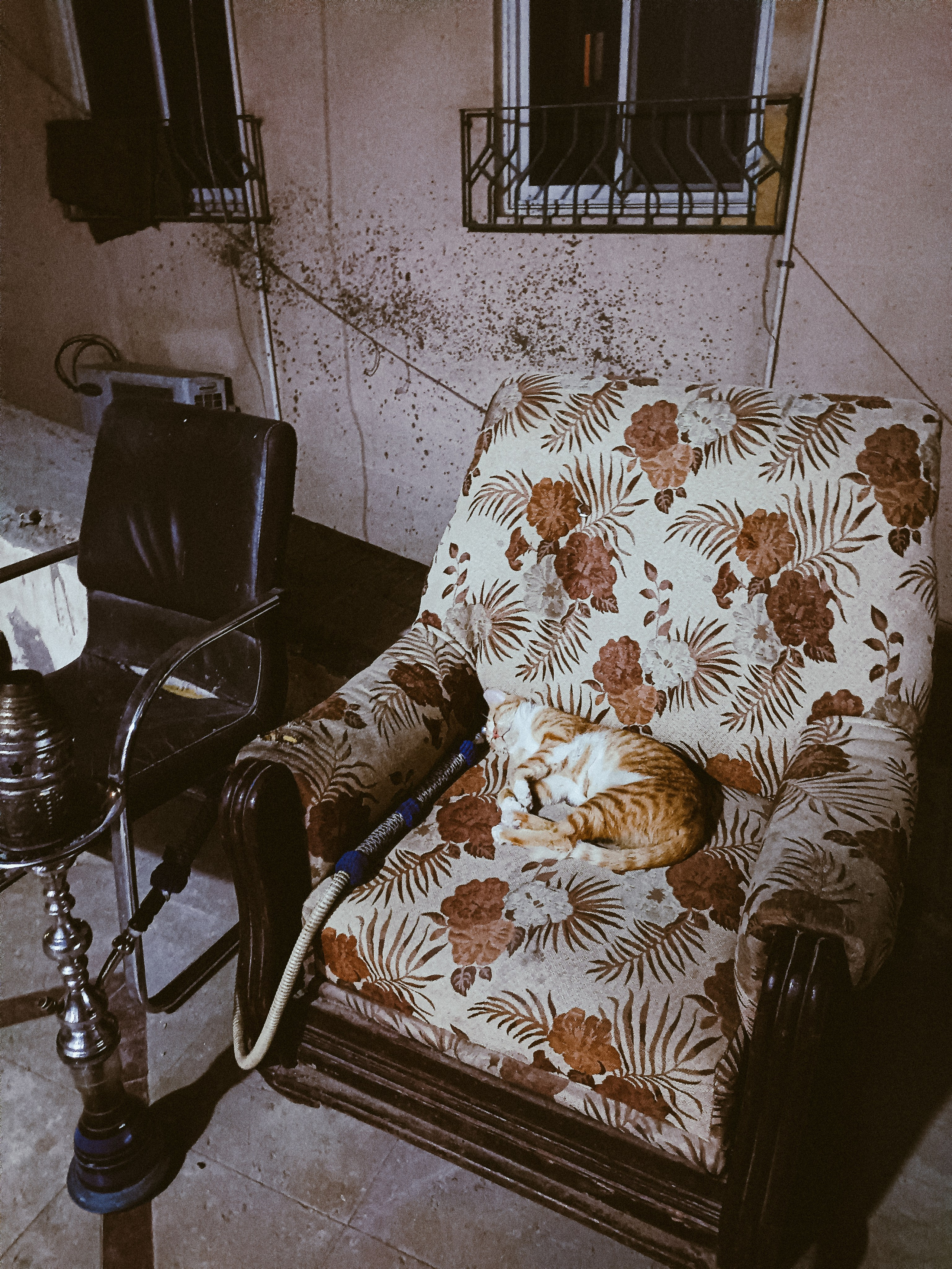 Мобильная. Jorgis — фотограф в Хургаде / обучение фотографии