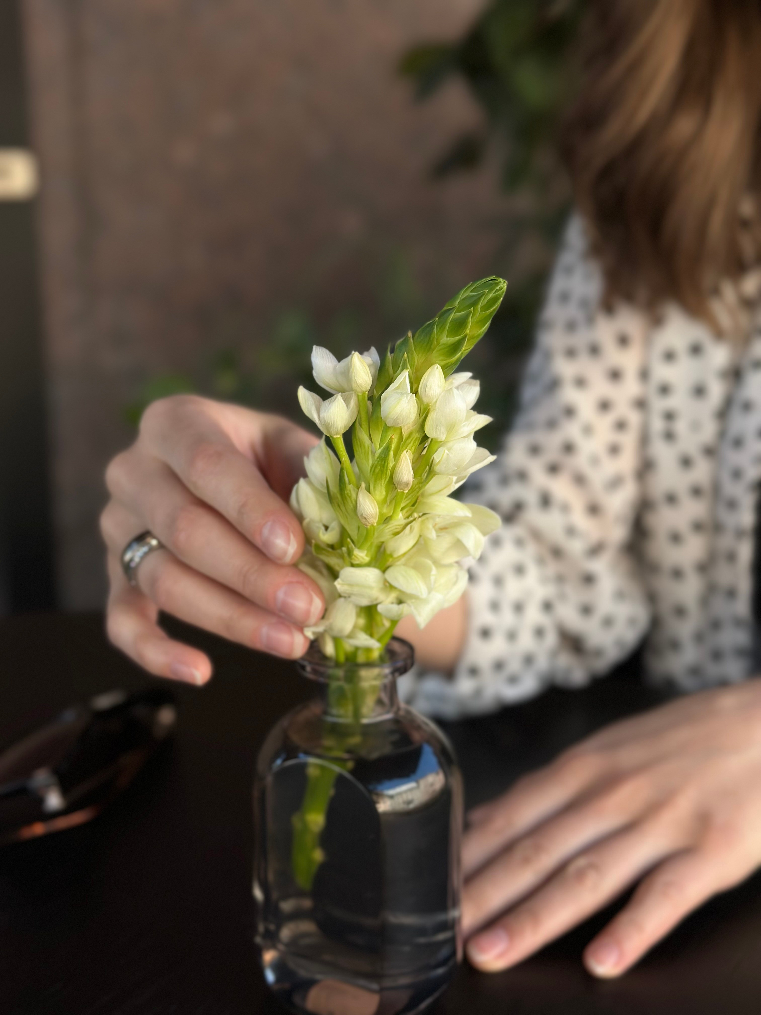 Прогулка Астория — Зеркальный дворик — Новая Голландия. КОНТЕНТ |БРЕНД фотограф Санкт-Петербург — Жанна Олтаржевская