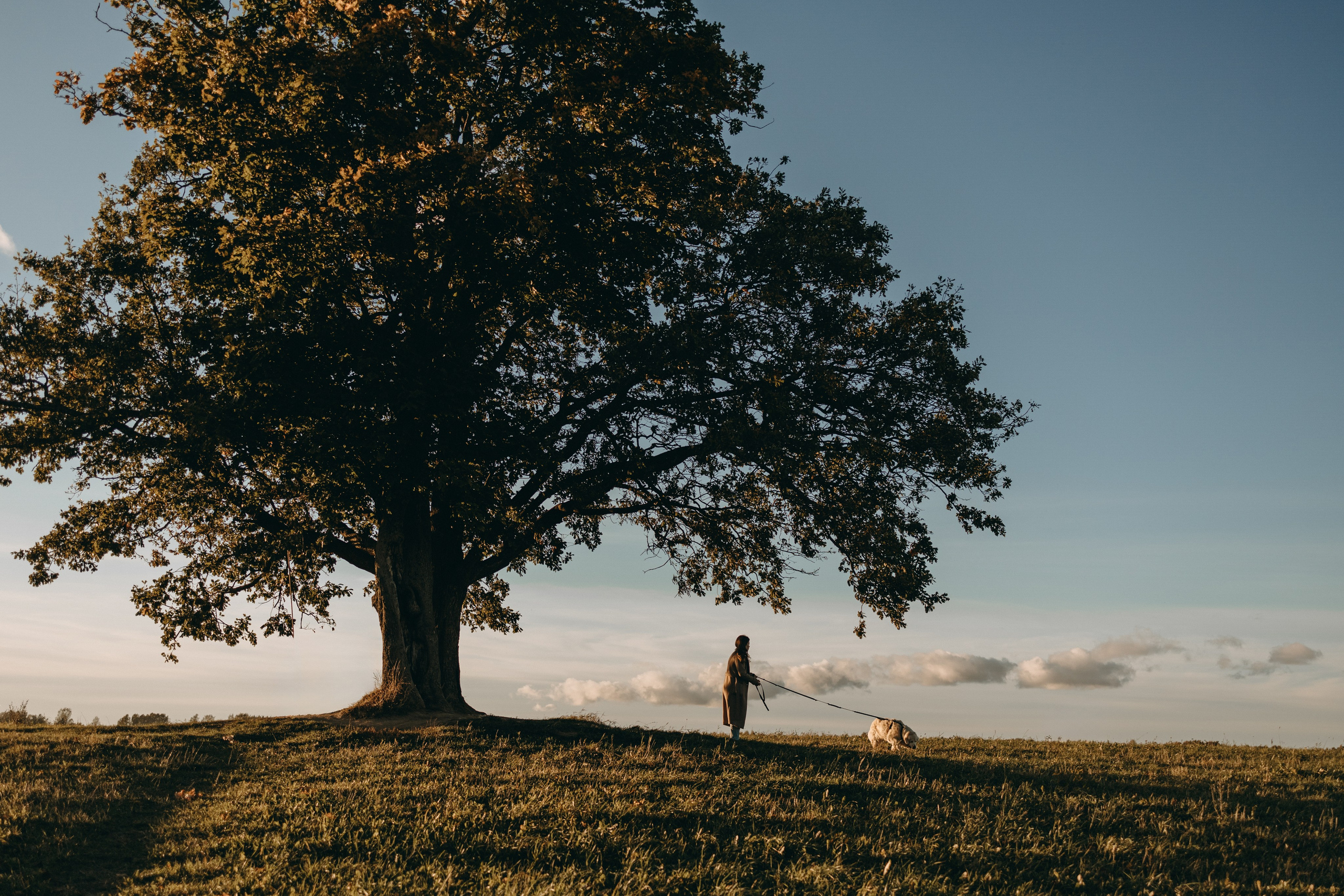 Лера и Скай. Фотограф — Анималист | Санкт-Петербург