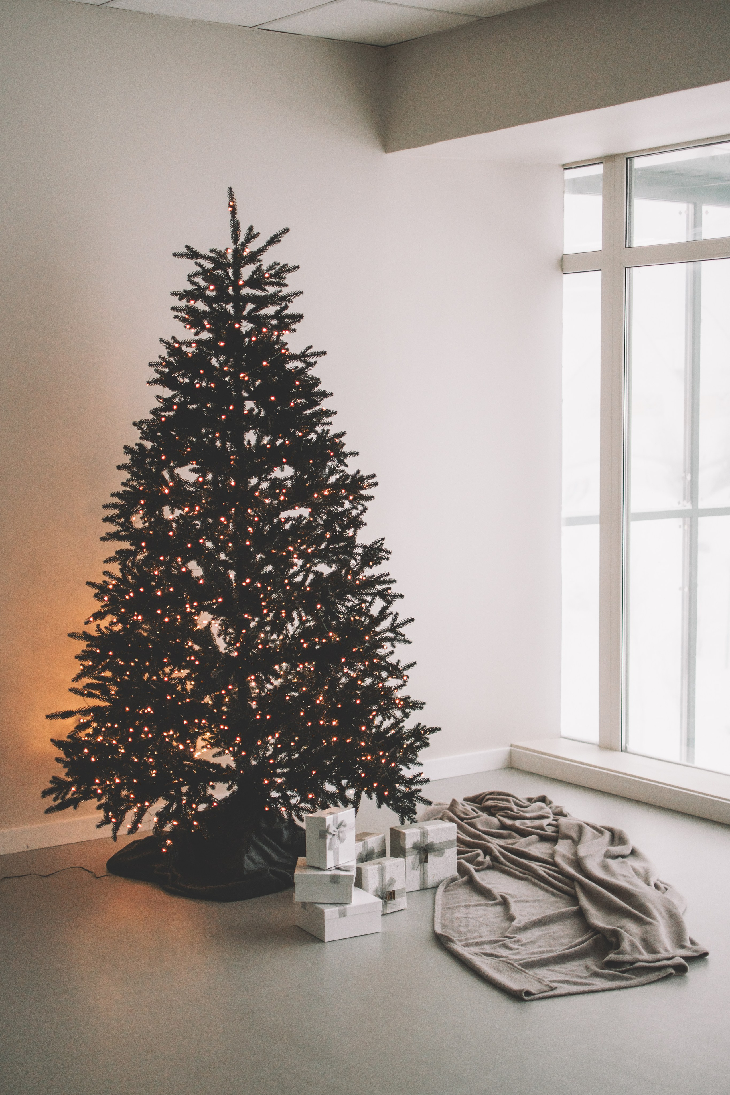 Евгения+Милкис. Семейный и свадебный фотограф Губкинский и Ставрополь