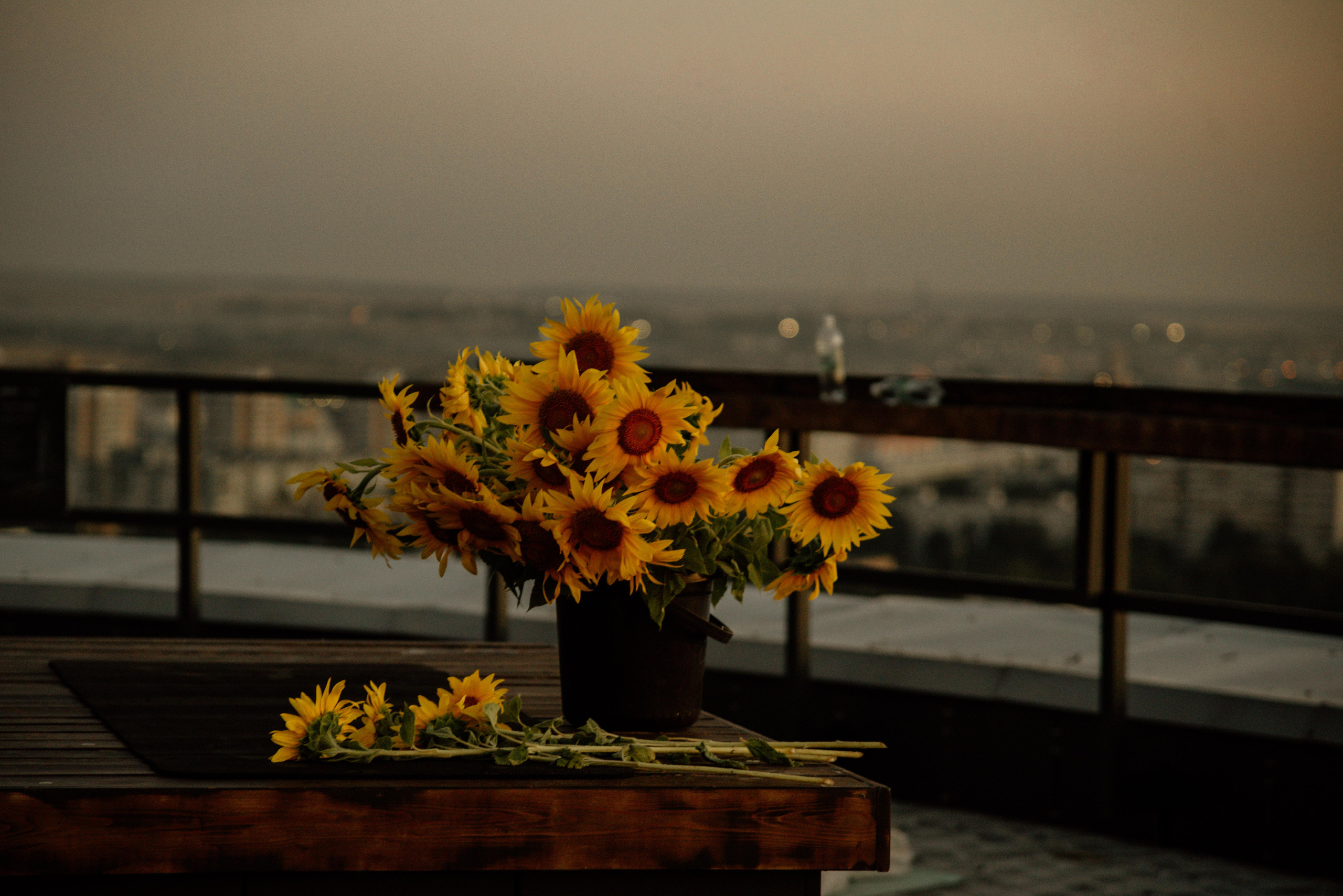 Тренировка на Высоте. Фотограф Алёна Евграфова