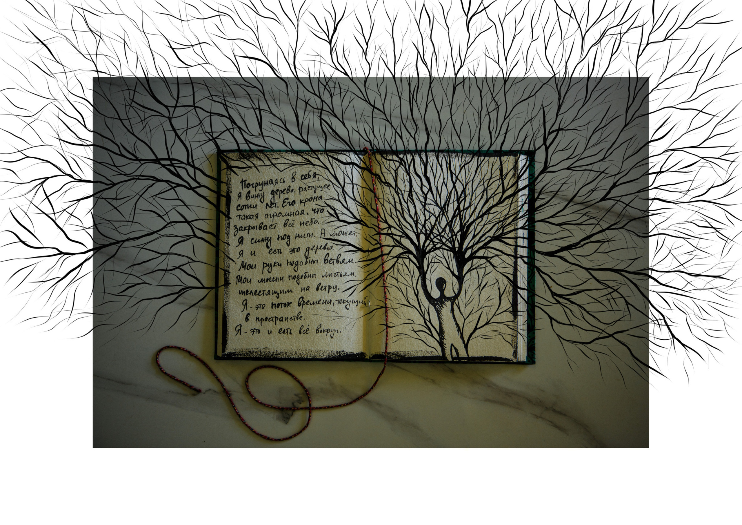 Nature me. Сайт Фотографа MASHASOLAR