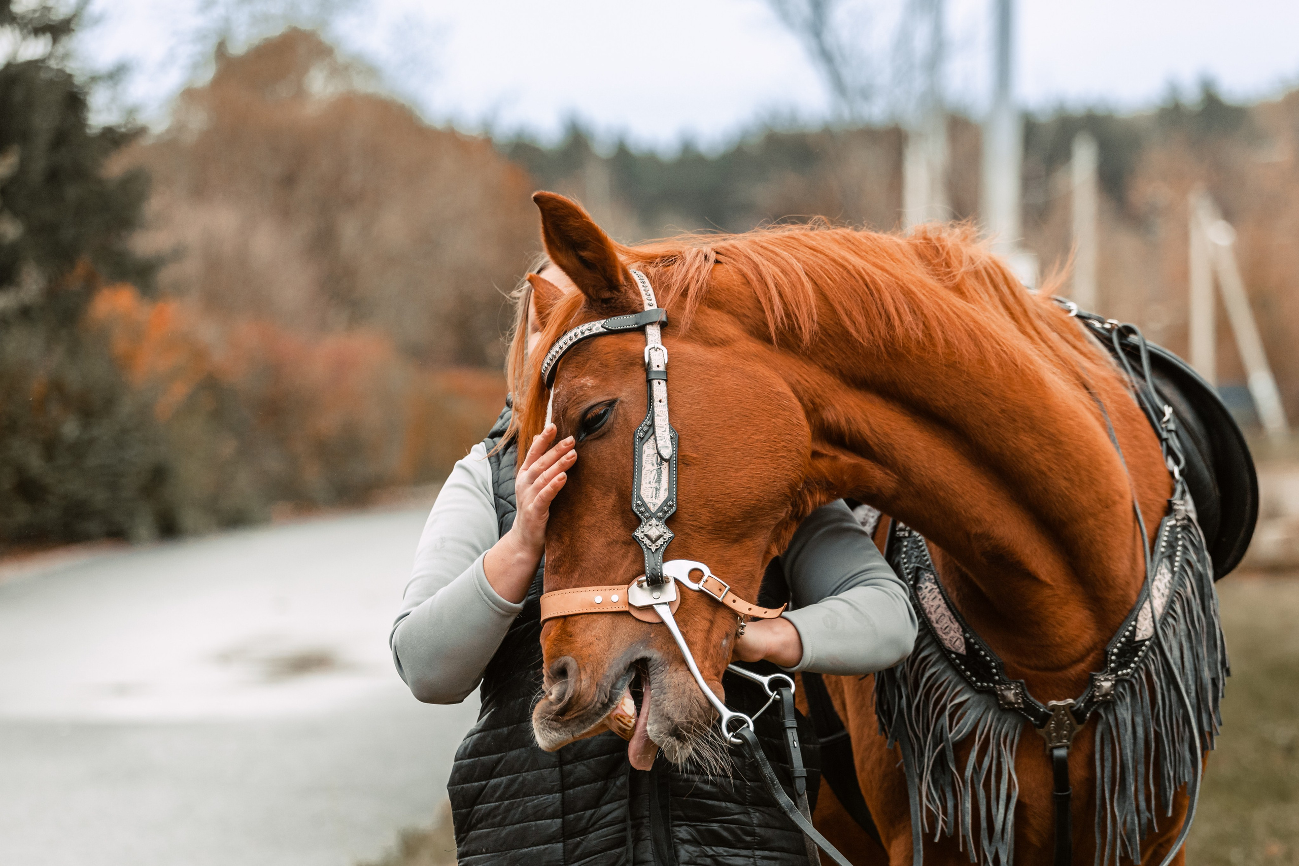 Лена и Рэджи. Фотограф-анималист Татьяна Степанова