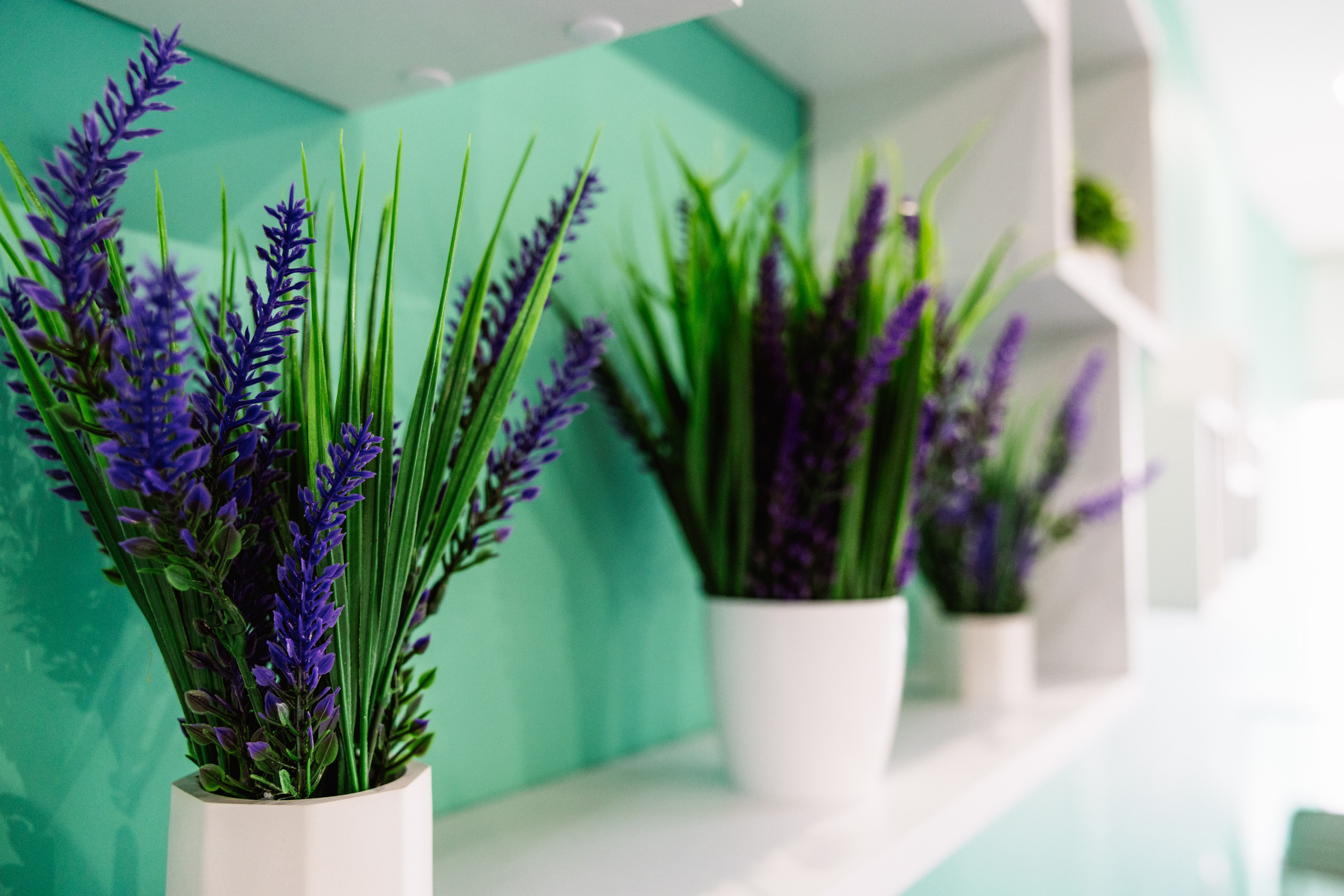 ЧЕБ И РЕК | Коломна, Зайцева 13. ФОТОГРАФ ИРИНА ШАМАТАВА