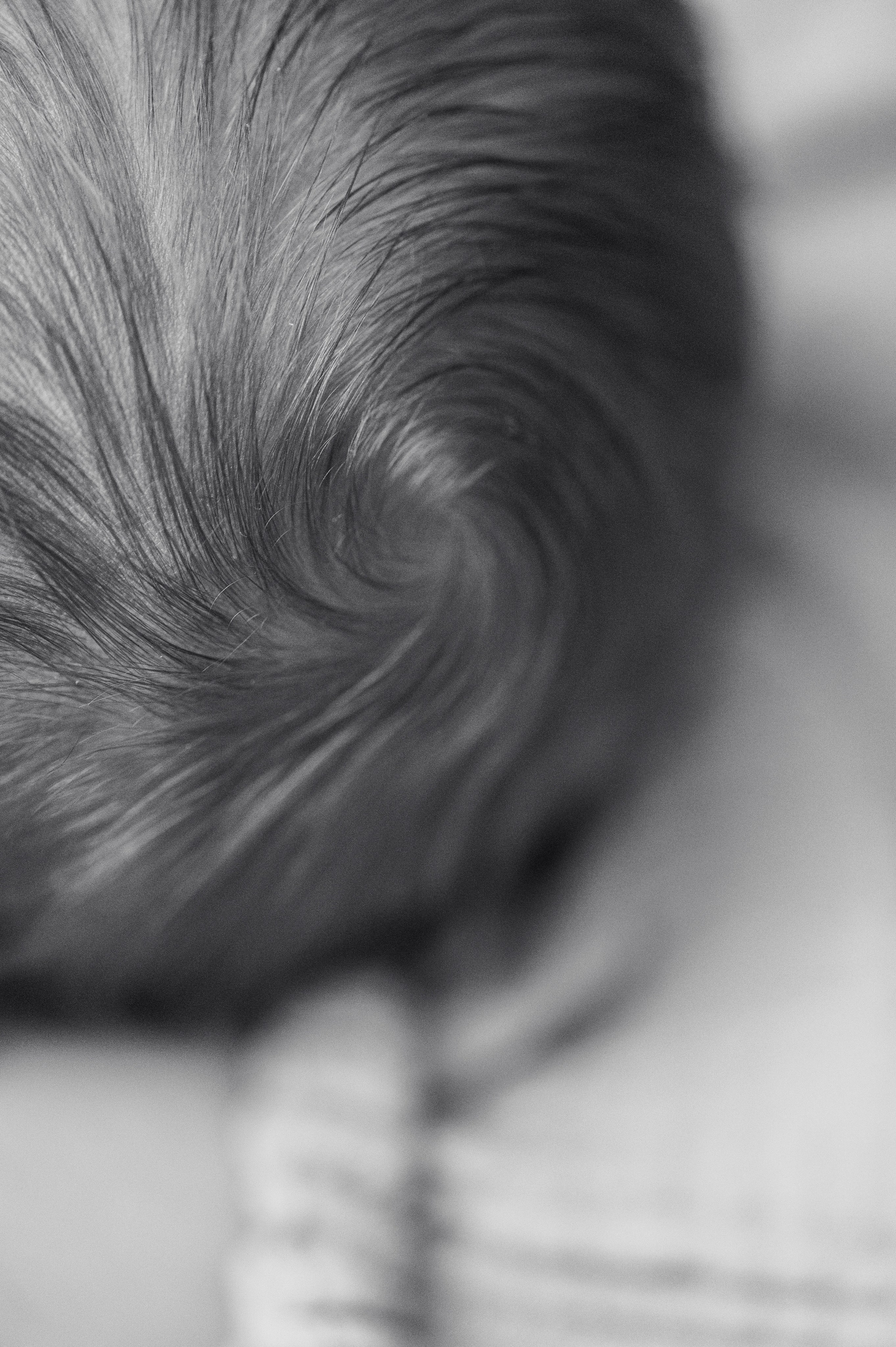 Ильюше 1 неделька. Домашний Lifestyle. Фотограф на роды СПБ Юлия Герасимова