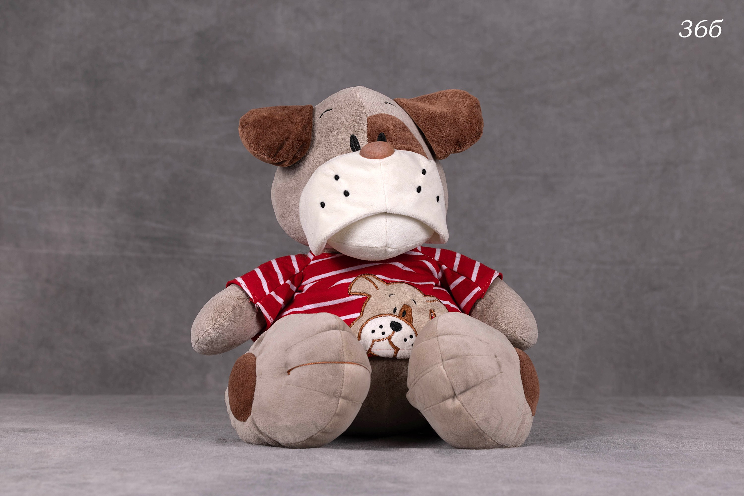 Фоны чёрный, белый, серый. Фотограф-анималист в Омске Екатерина Маричева