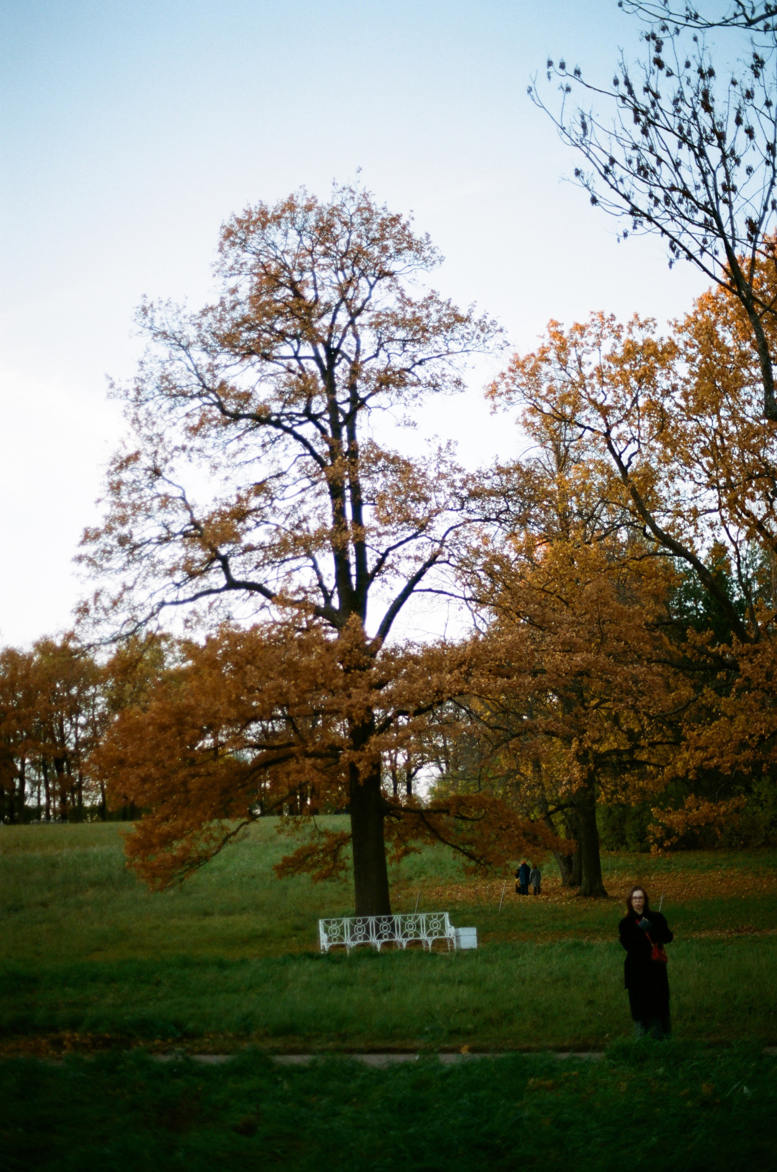 Осень в Пушкине. Андрей Цветков — репортажный, свадебный и портретный фотограф в Санкт-Петербурге