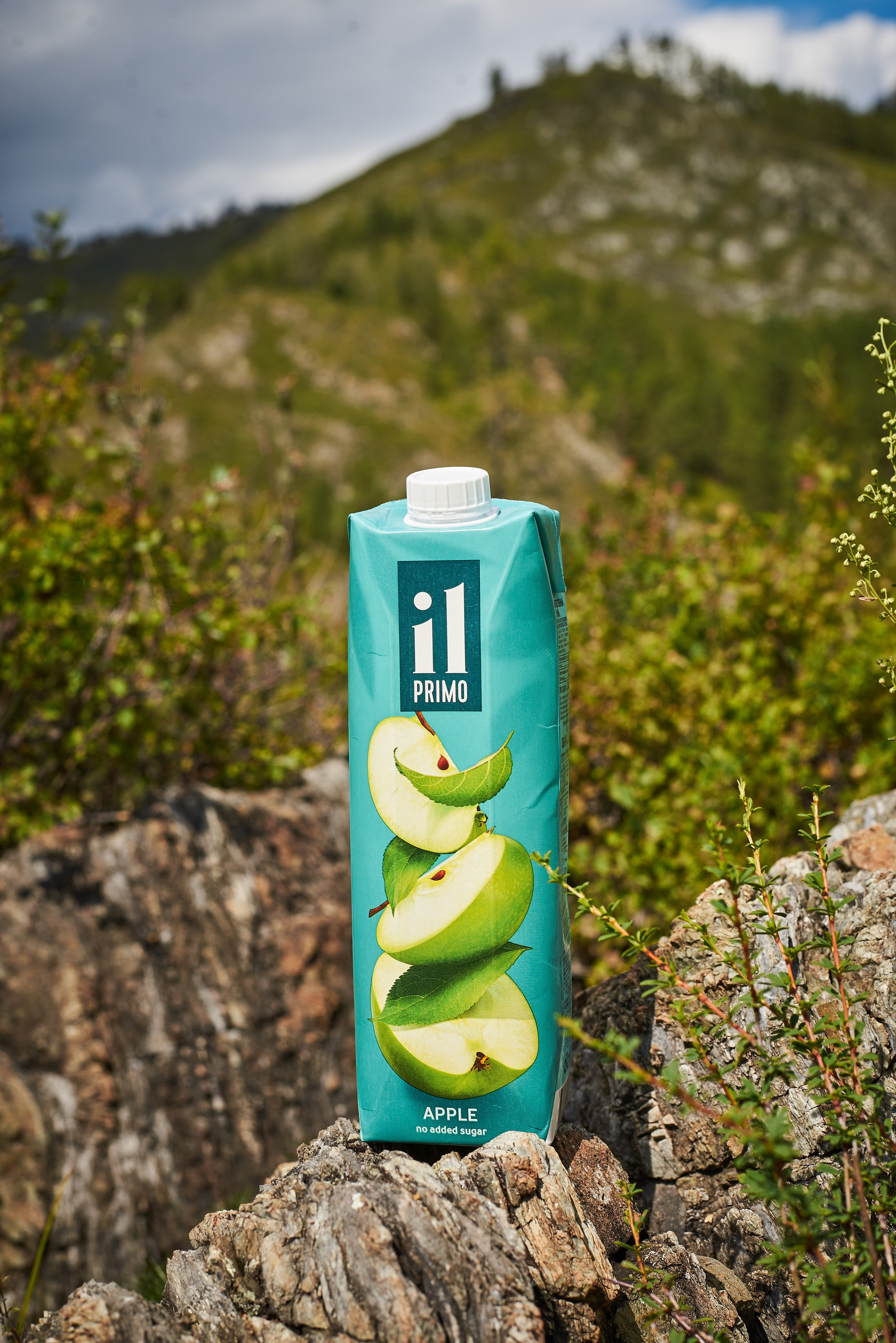 Сок. Семейный фотограф в Барнауле, Горный Алтай, Заринск, Алейск