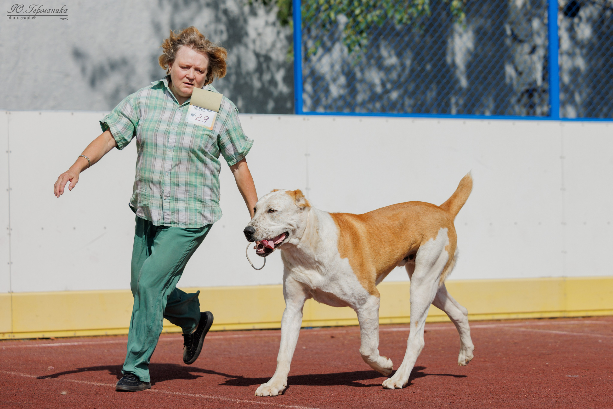 Коломна 30.08.2025. Фотограф-анималист Юлия Германика