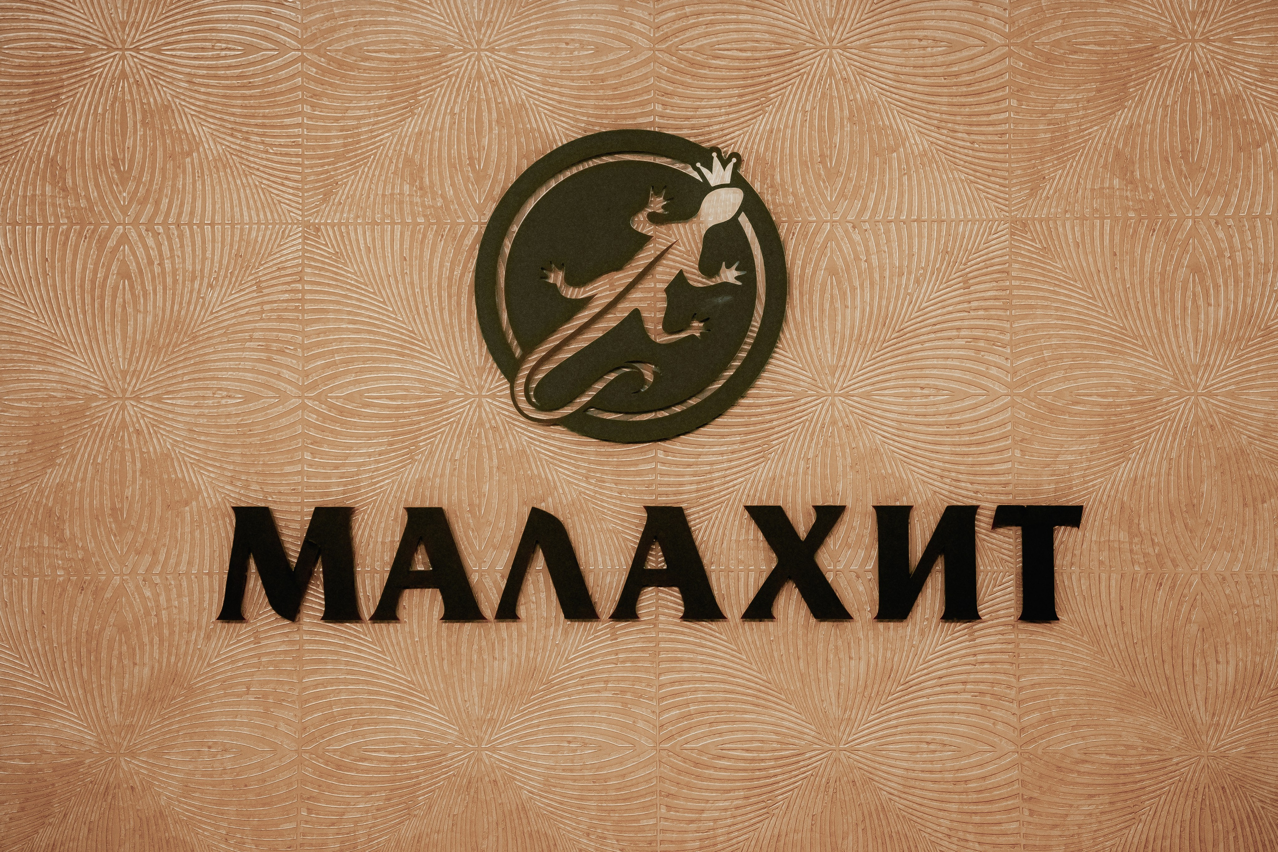 Семинар-совещание спец-ов по работе с молодежью, ноябрь²⁰²⁵. Репортажный фотограф в Челябинске Анастасия Хмарук
