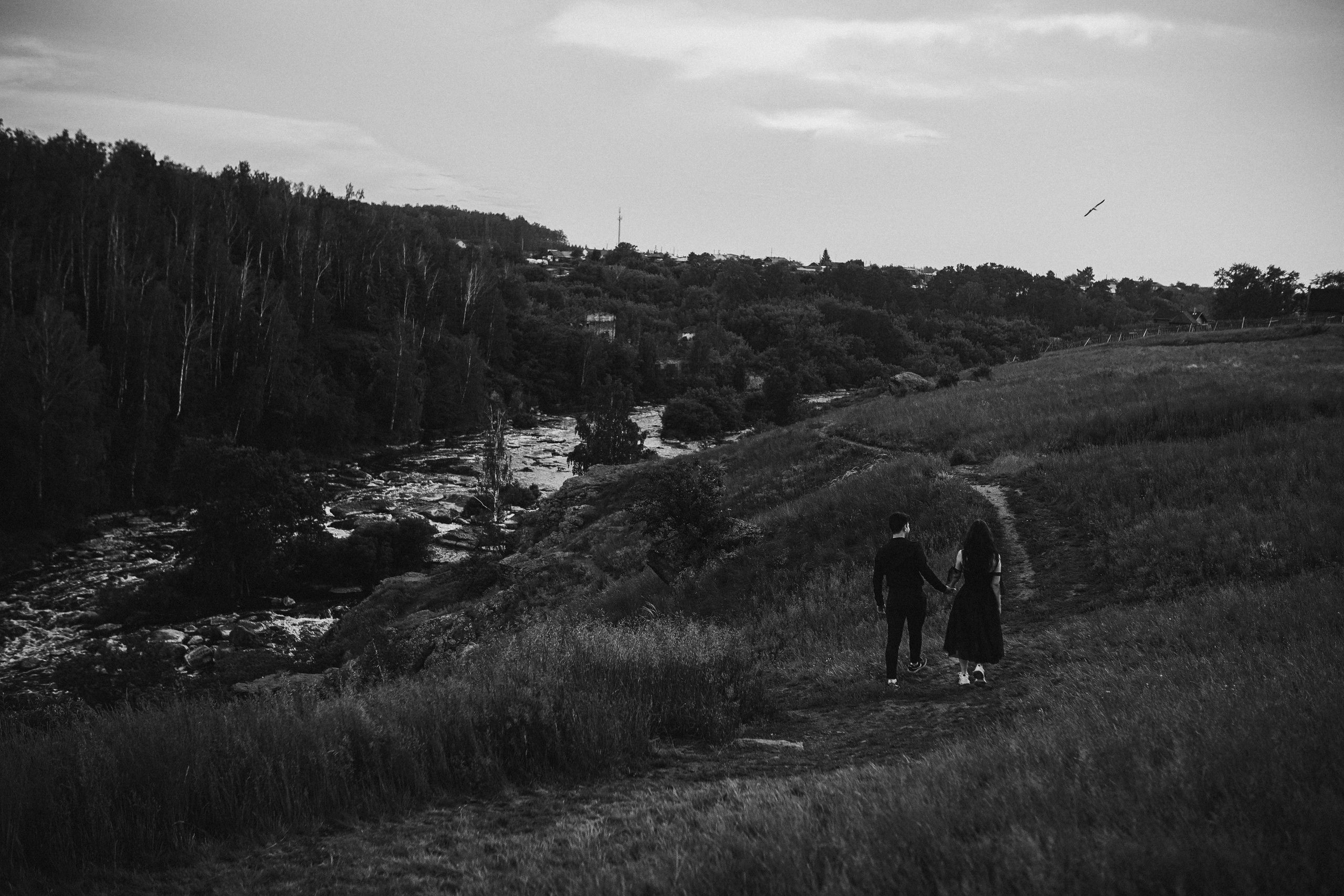 Наслаждаясь тишиной