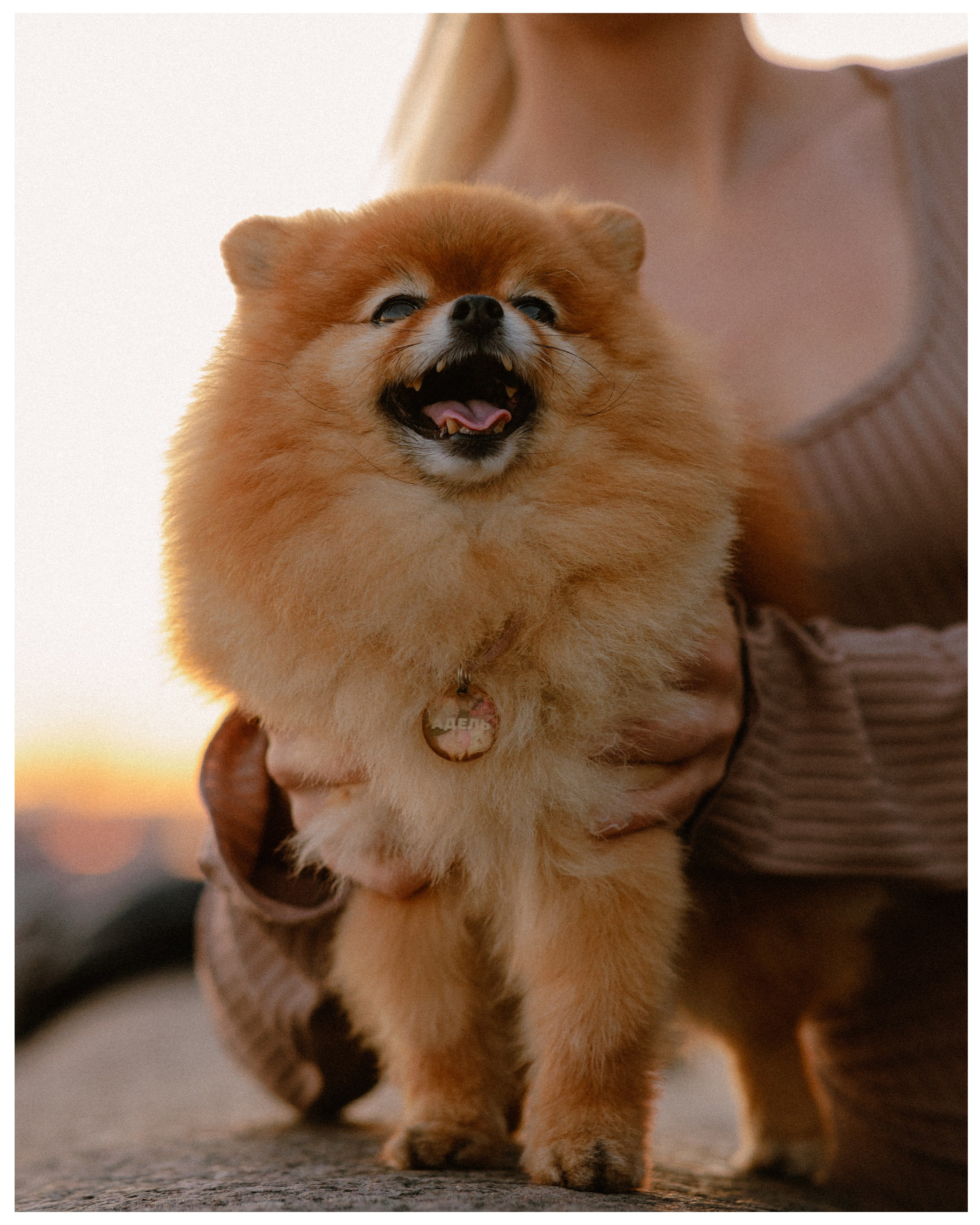 Карина и Адель. Фотограф в Санкт-Петербурге Алёна Губинская