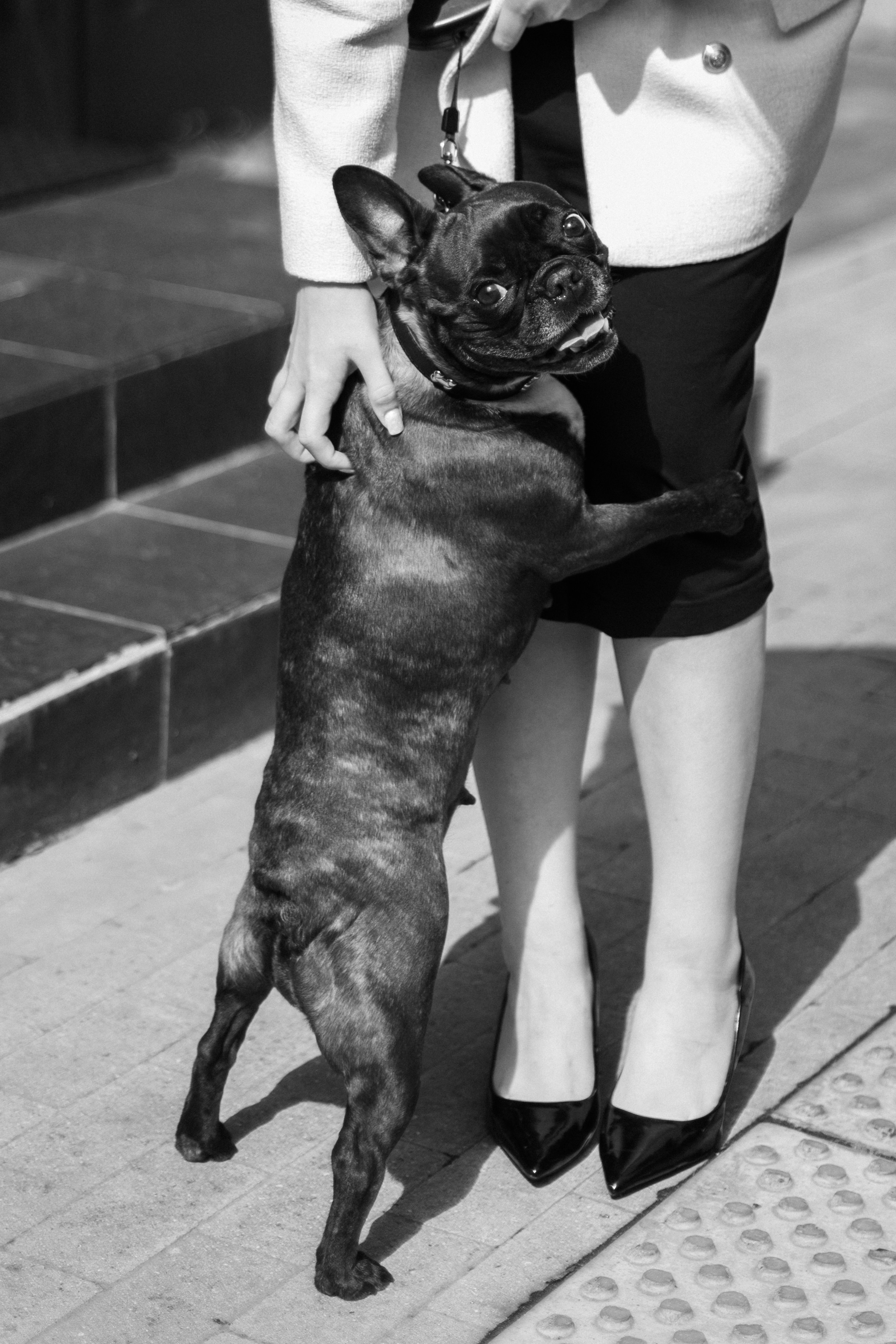 Индивидуальная съёмка. Фотограф Анастасия Бобылева, Москва и Московская область