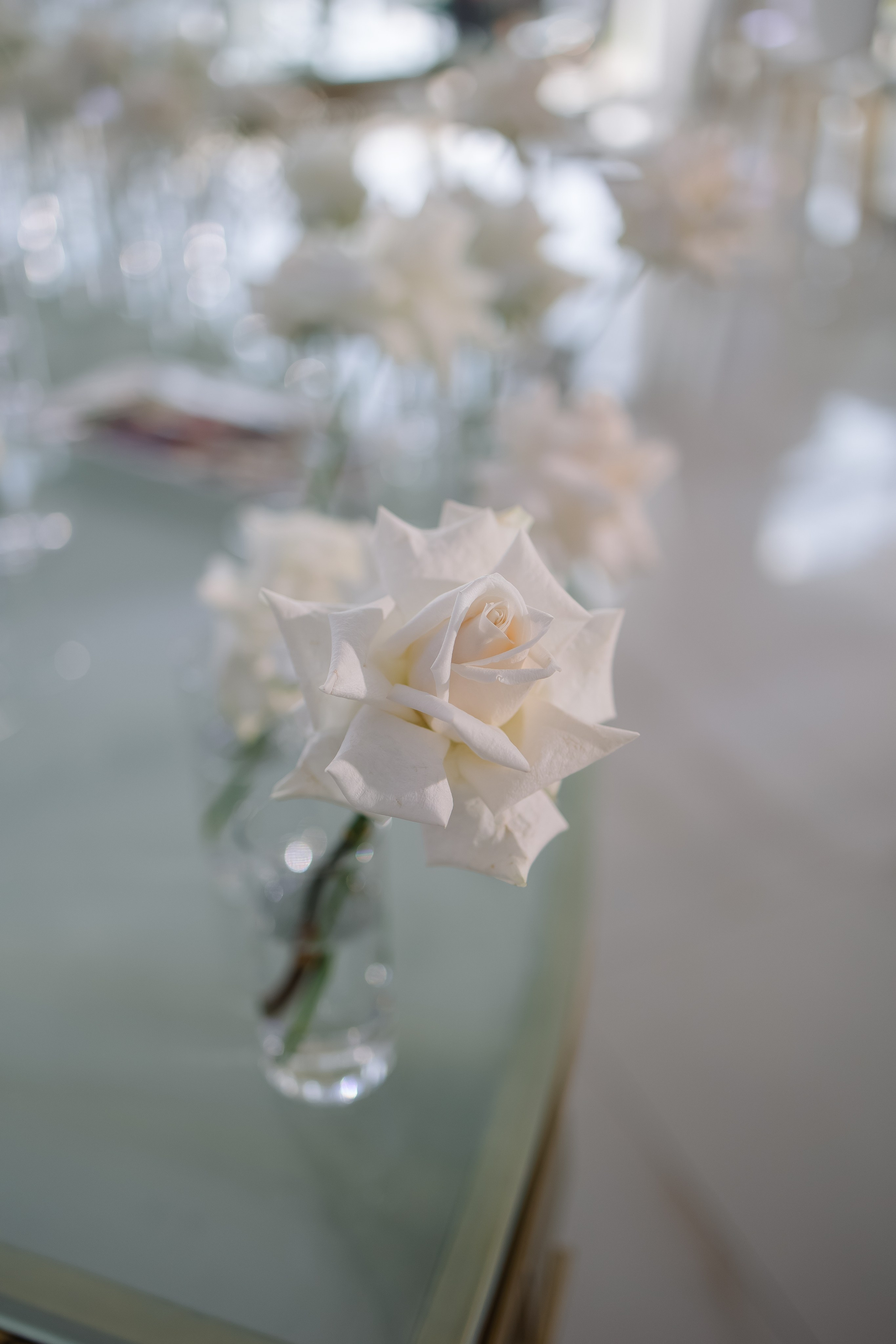 Aleksey&Viktoriya. Свадебный фотограф