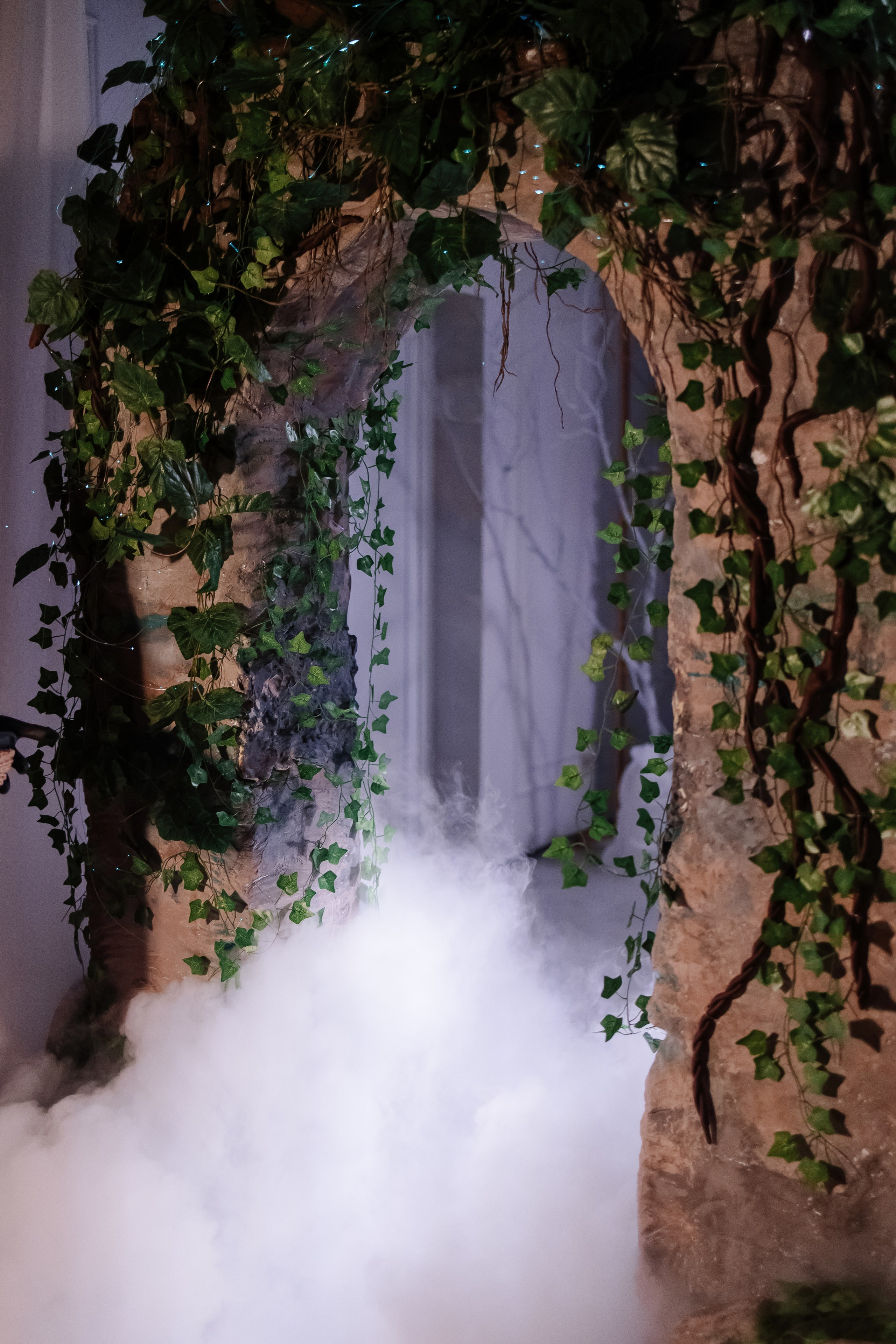 Шоу тортов 2. Свадебный фотограф