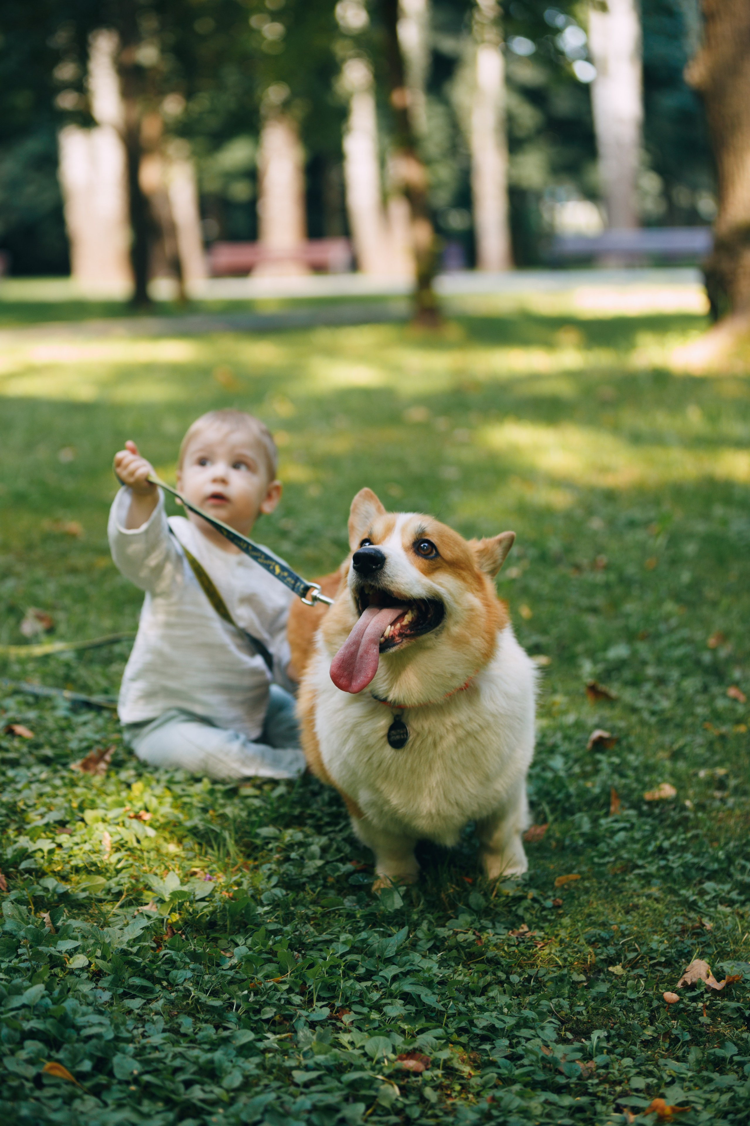 Мерф, Саша, Арсений и Андрей. Фотограф анималист Кристина Карпова, Москва