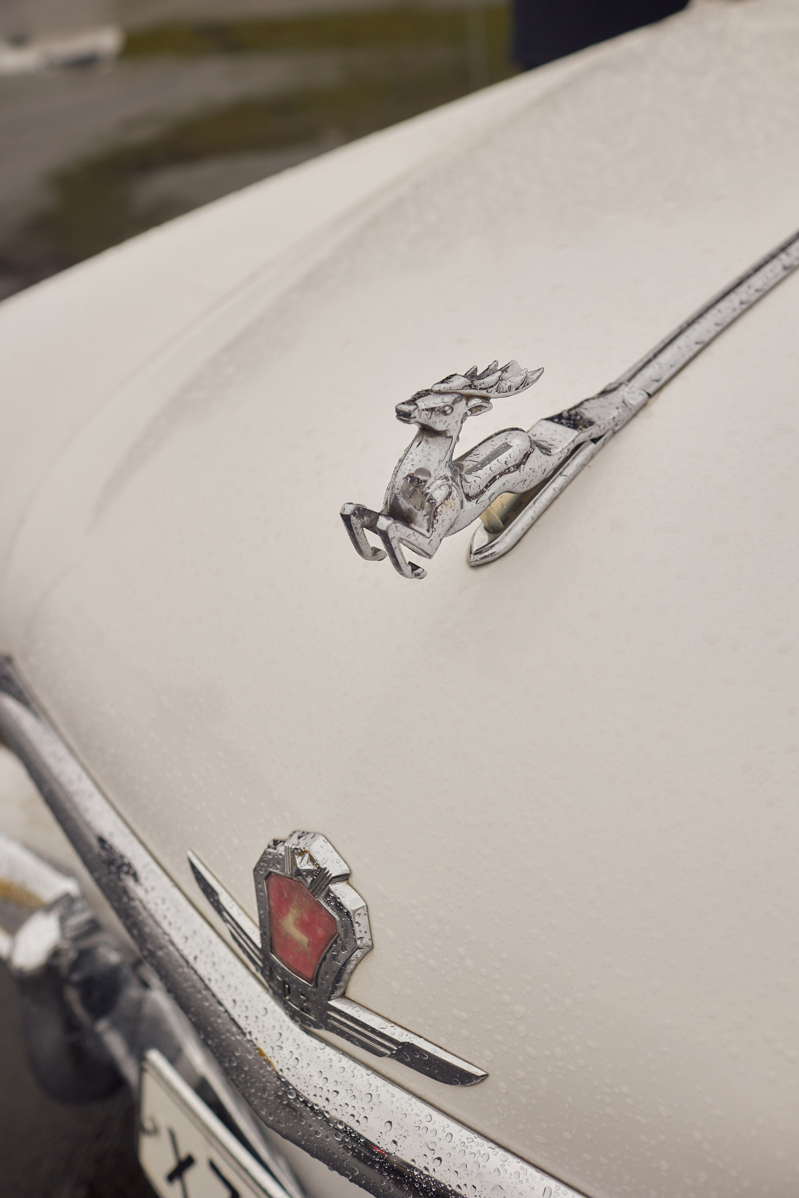 MARIA&ALEXANDER. Фотограф Мария Сивохина