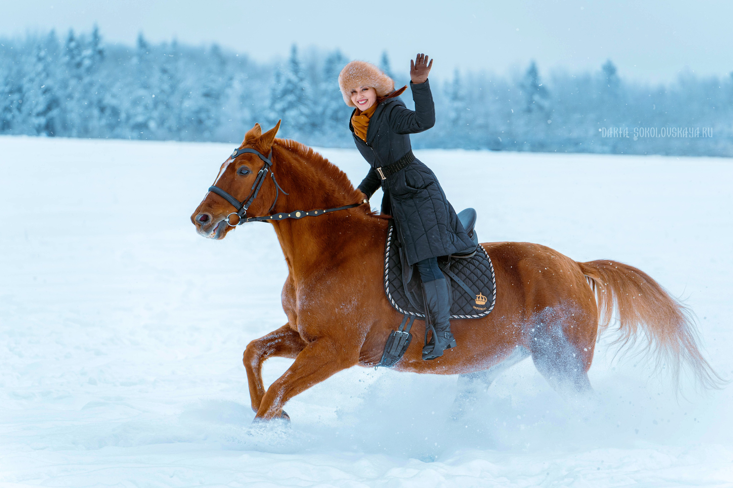 Зимнее поле. Фотограф Дарья Соколовская