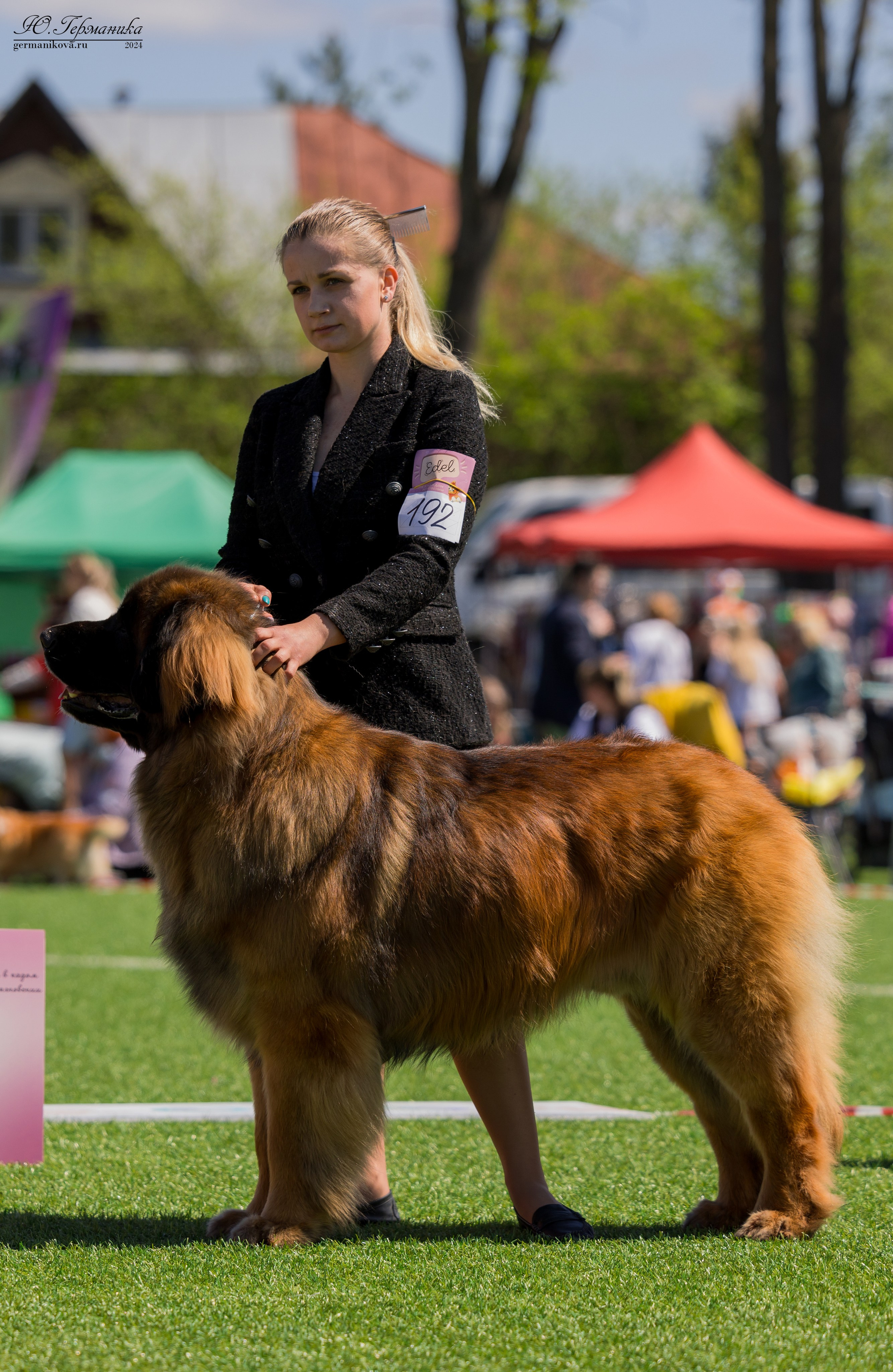 Суздаль 18-19.05.2024. Фотограф-анималист Юлия Германика