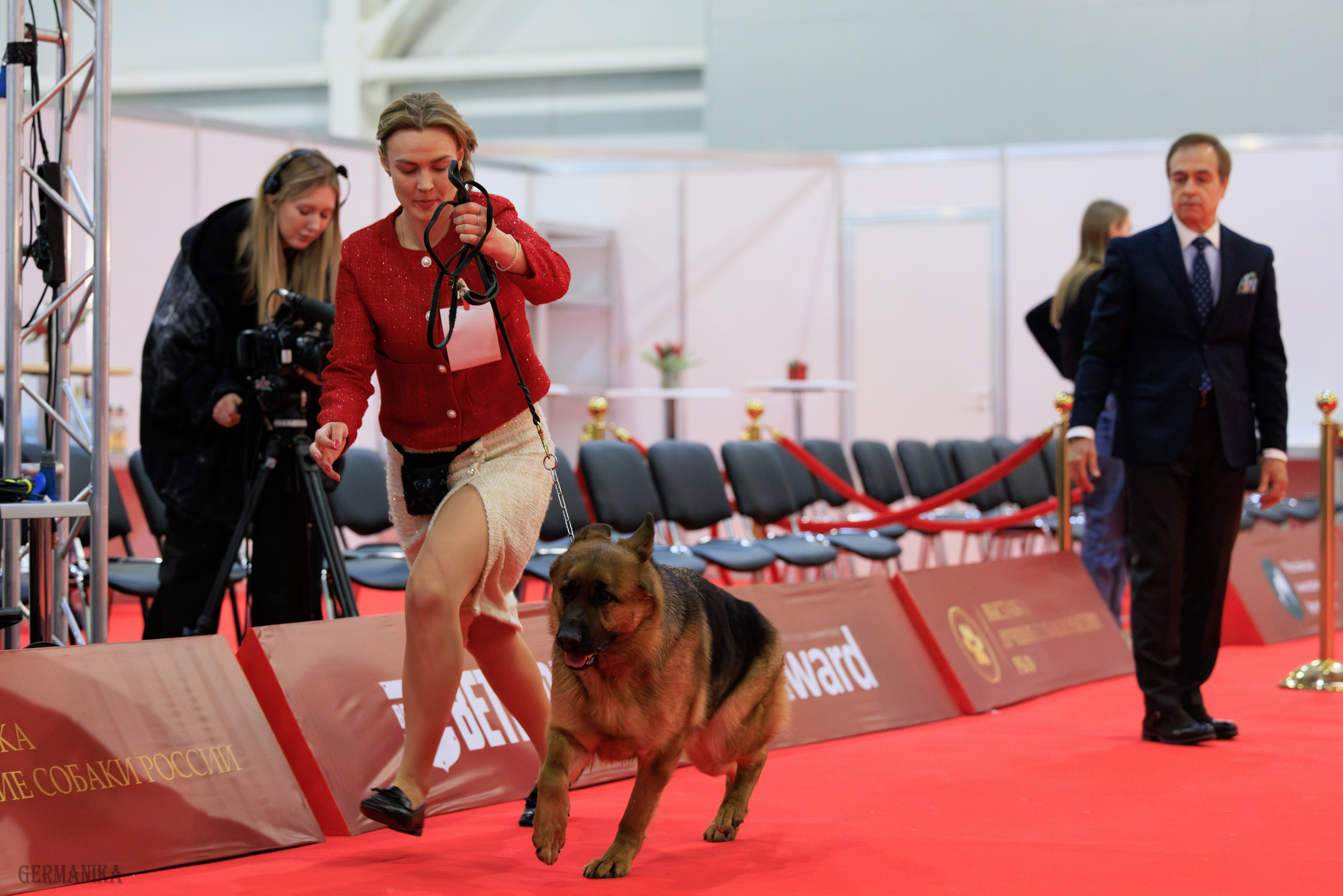 Лучшие Собаки России 17-18.02.2024. Фотограф-анималист Юлия Германика