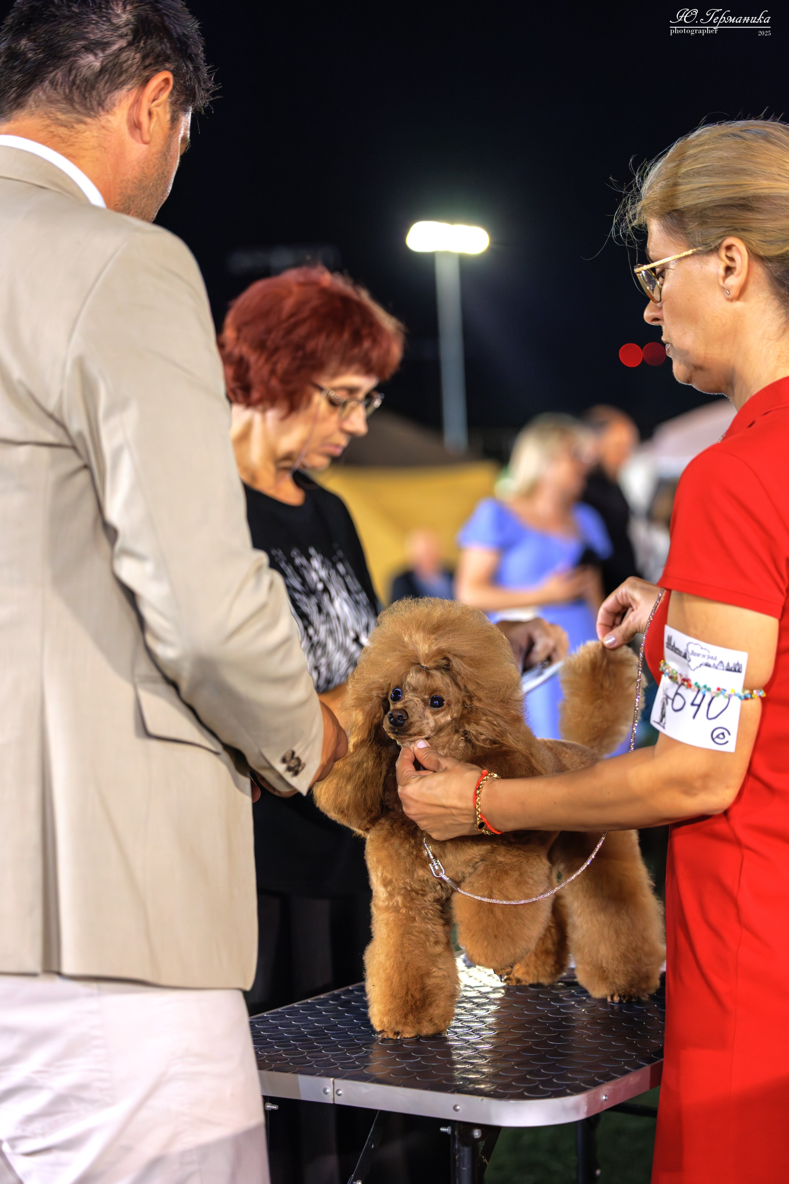 Калининград 25-27.07 Волгоград 1-3.08 2025. Фотограф-анималист Юлия Германика