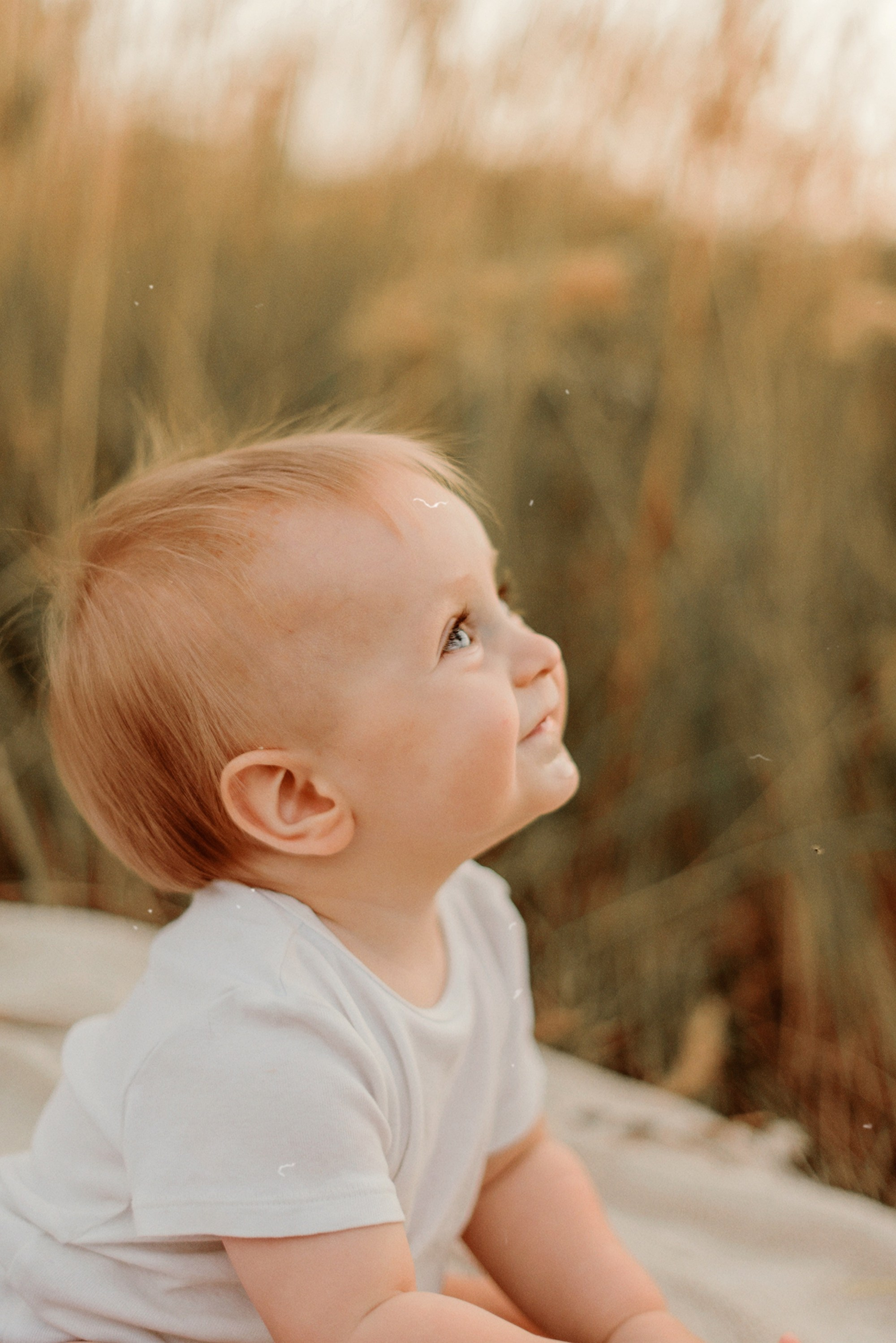 ЖЕНЯ, САША, СЕМЁН и ЛЁВА. Свадебный и семейный фотограф РИТА БОЧКАРЁВА