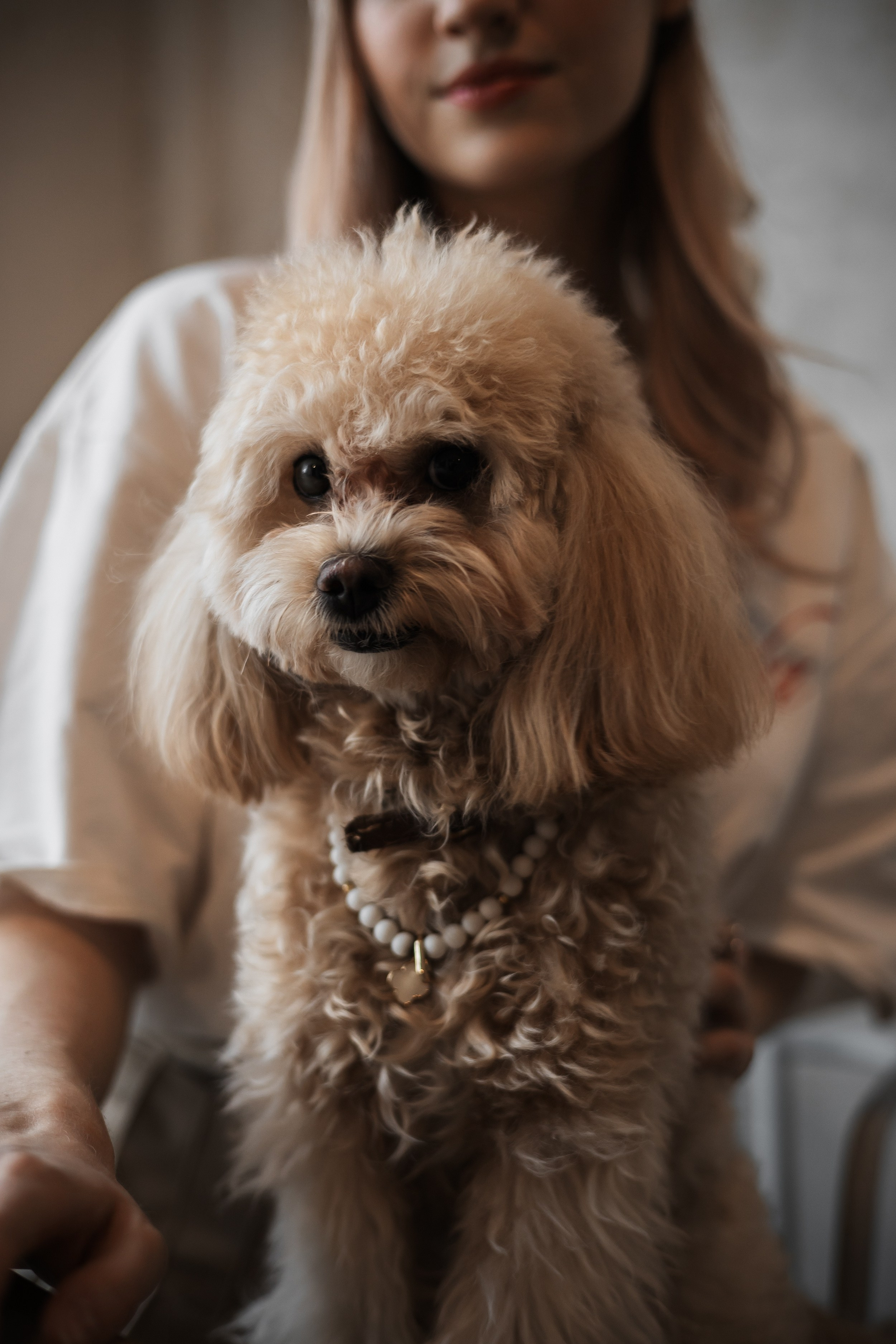 Алина — прогулка