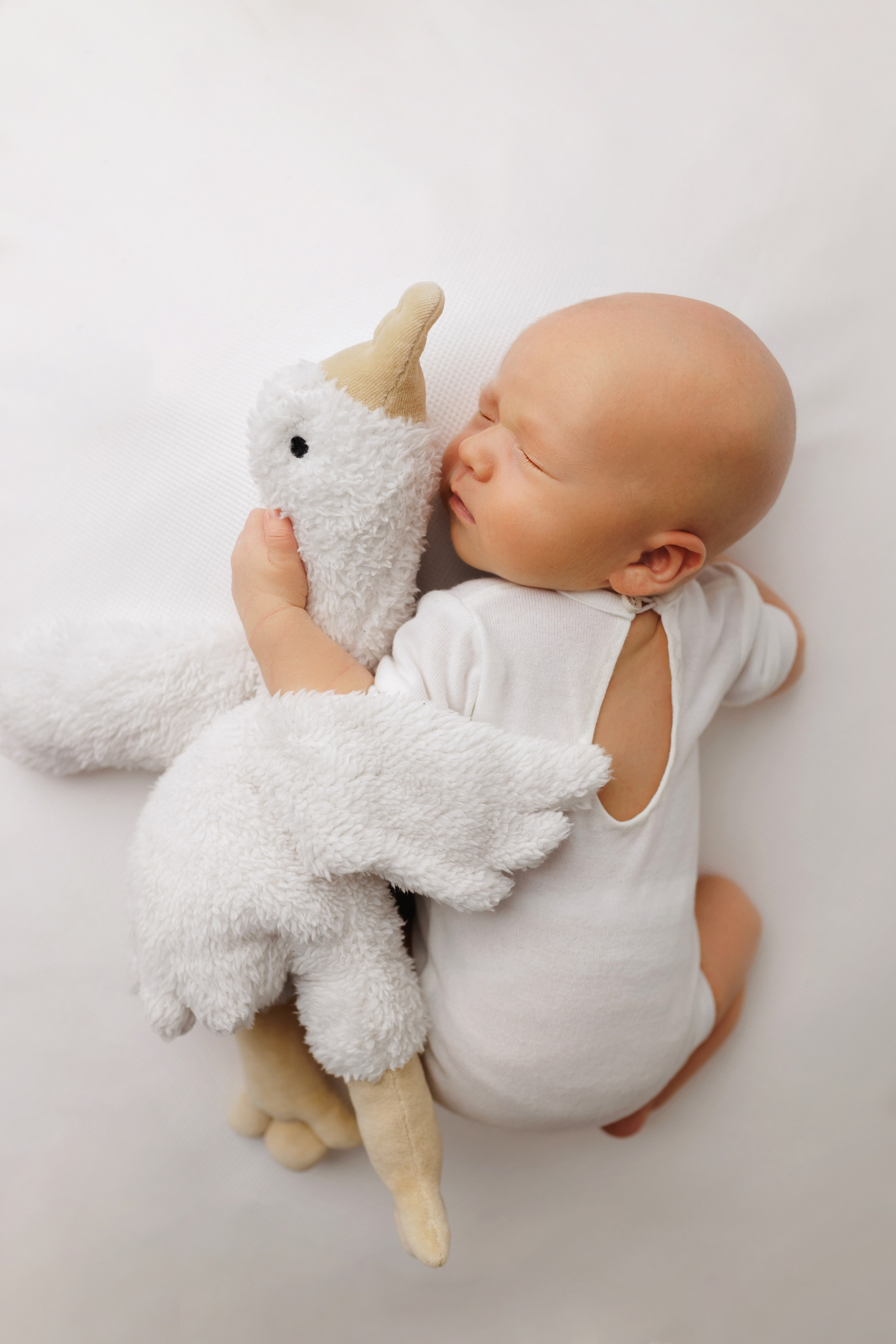 Фотограф новорожденных и малышей в Уфе Шелагина Ольга