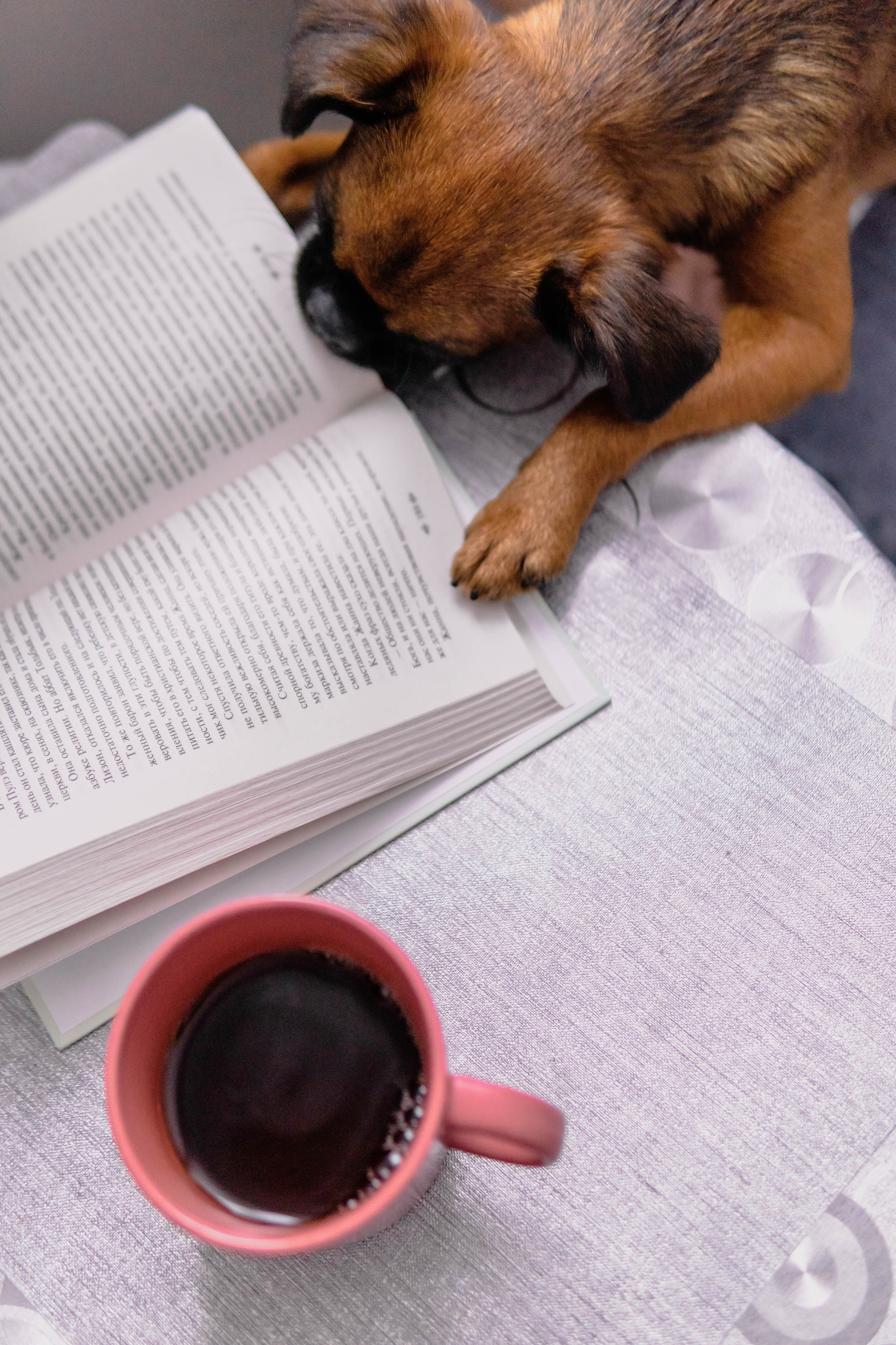 Надя и Ефим. Фотограф-анималист Ксения Воробьева, Москва