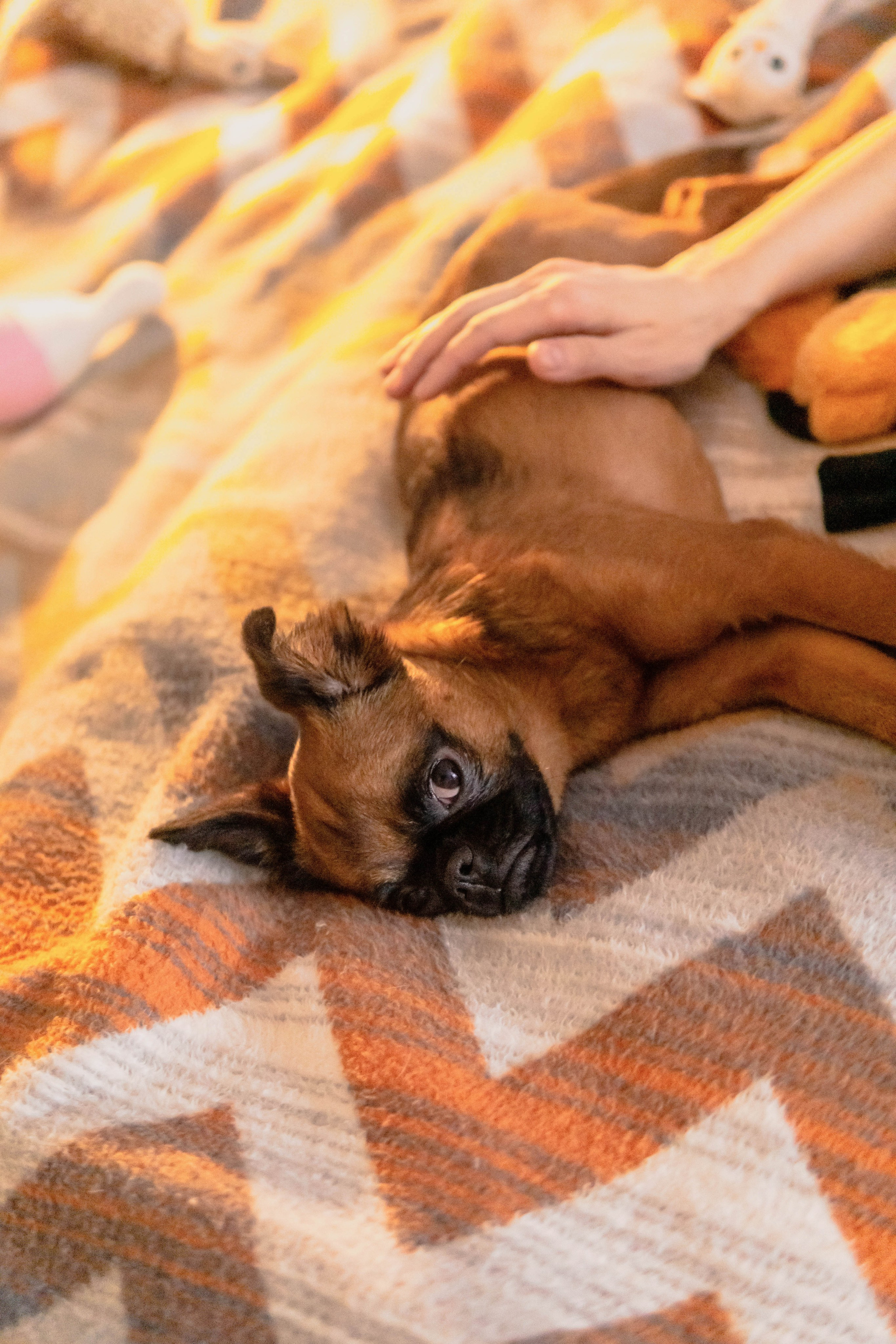 Надя и Ефим. Фотограф-анималист Ксения Воробьева, Москва