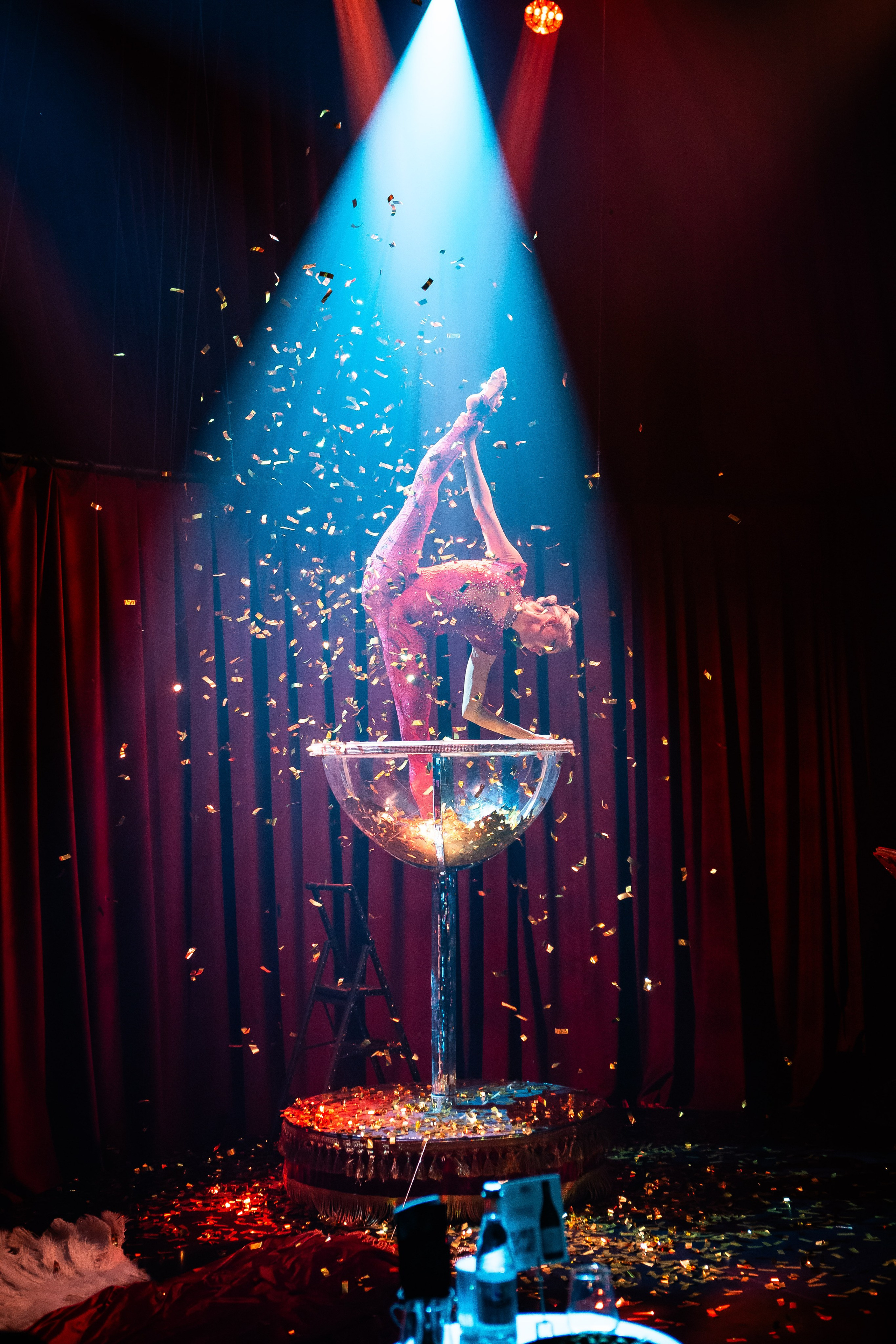 Цирковое шоу. Видеограф Добромыслов