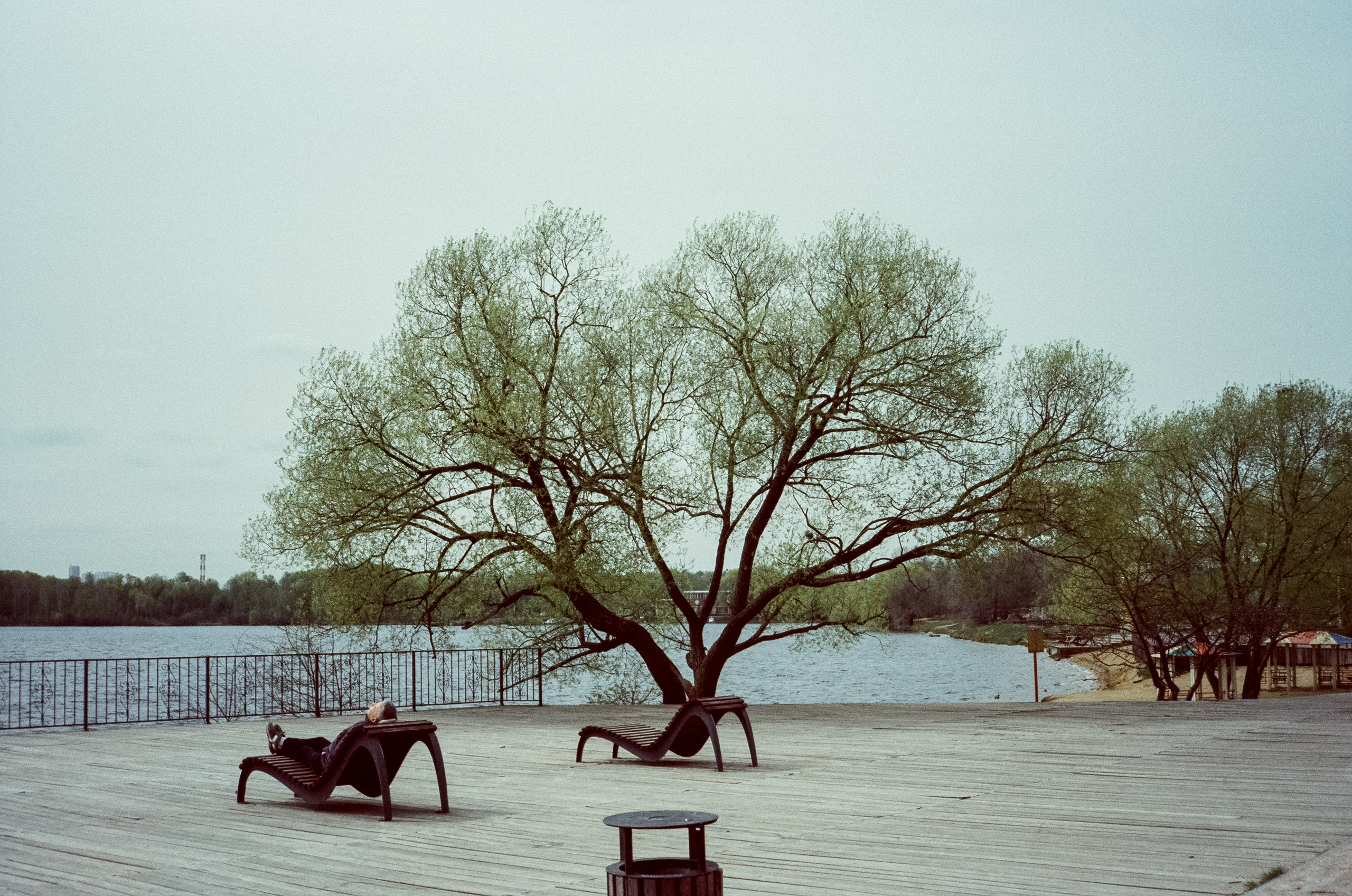 Ricoh 500GS / SFL 200T / Строгино тестовая пленка апрель 2024 г